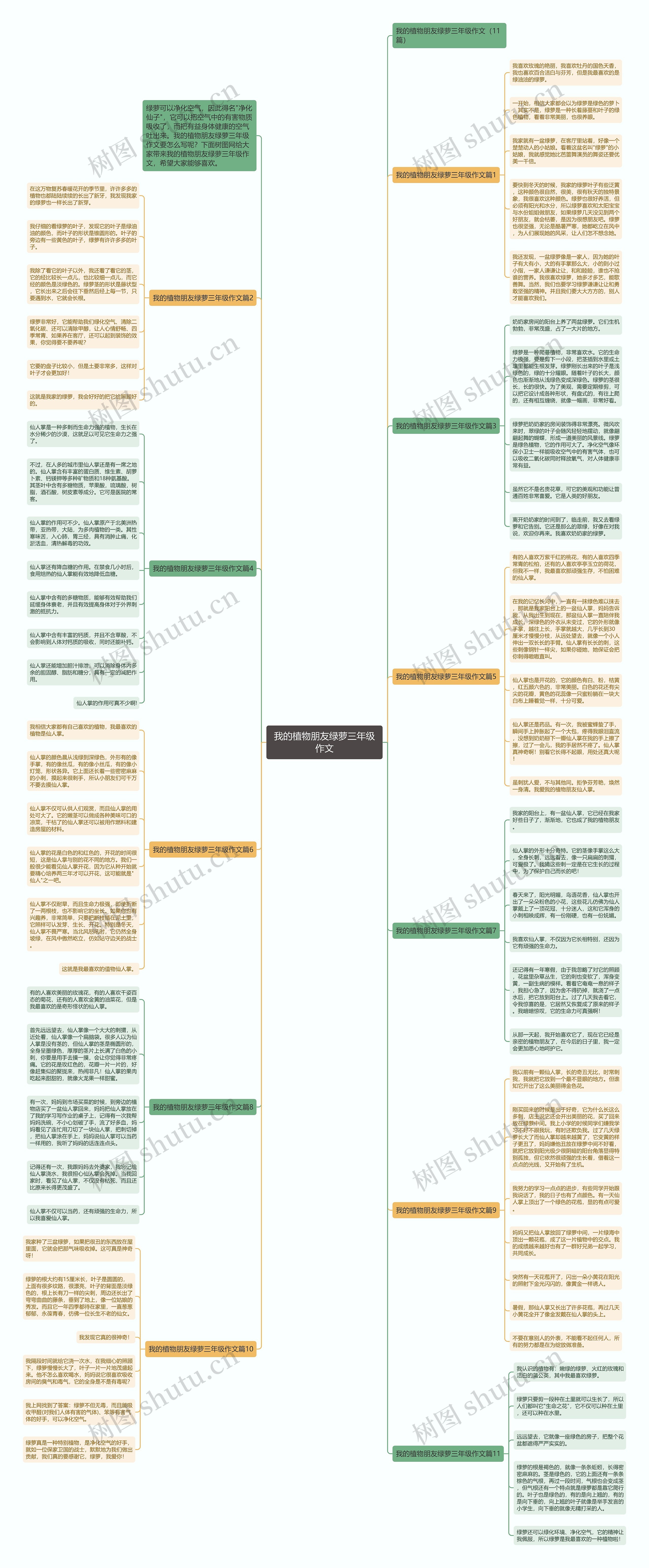 我的植物朋友绿萝三年级作文思维导图