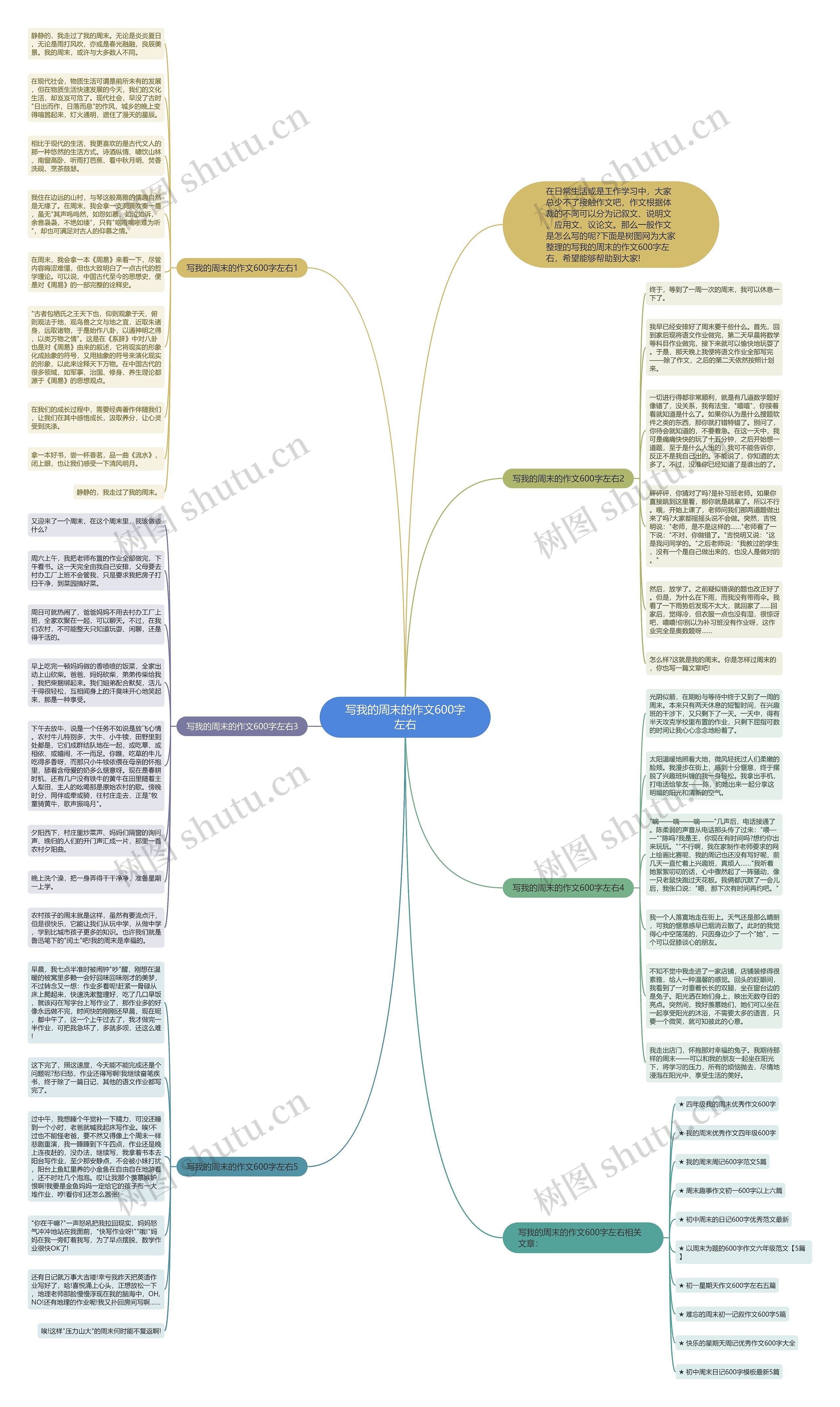 写我的周末的作文600字左右思维导图