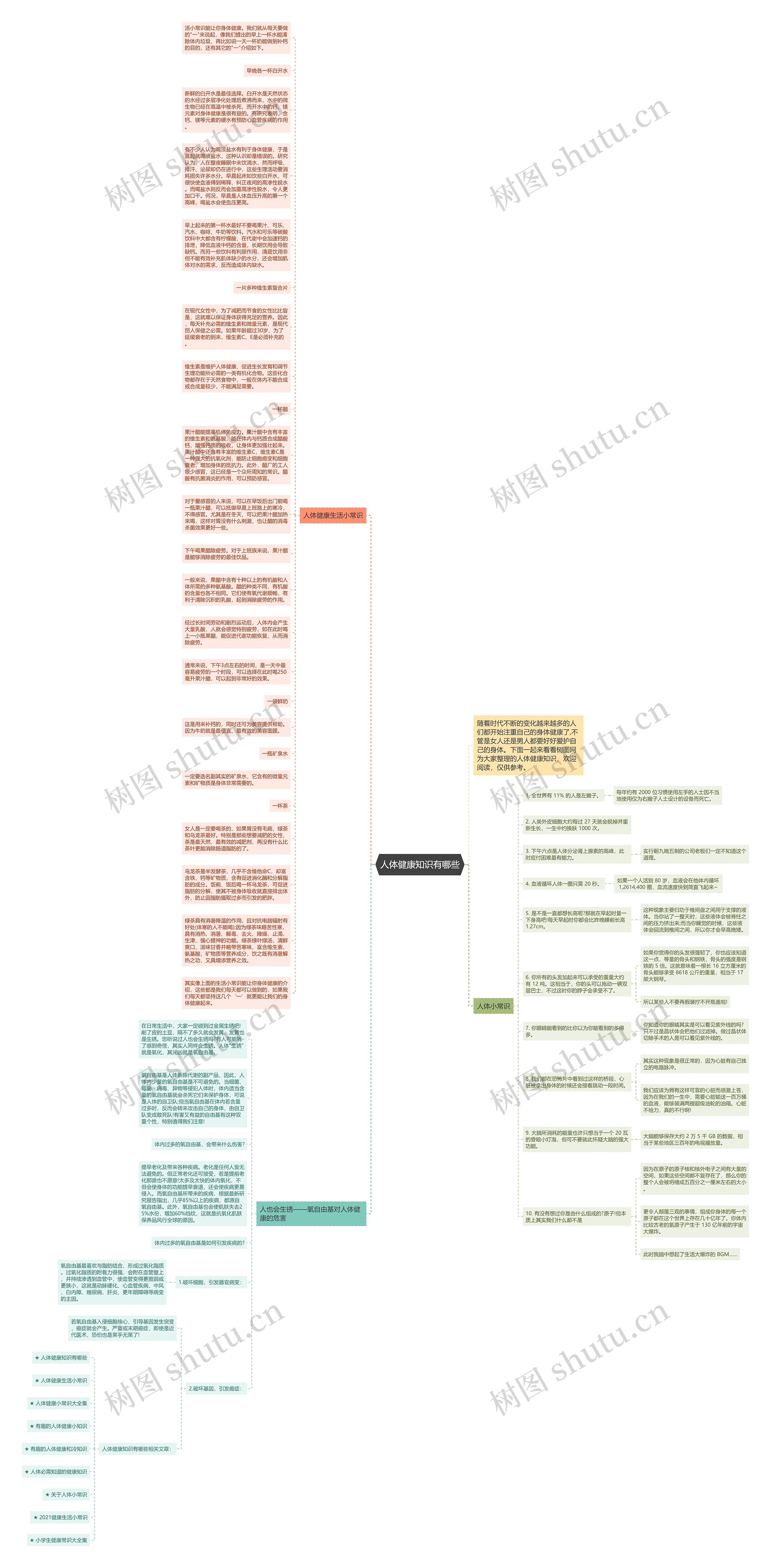 人体健康知识有哪些思维导图
