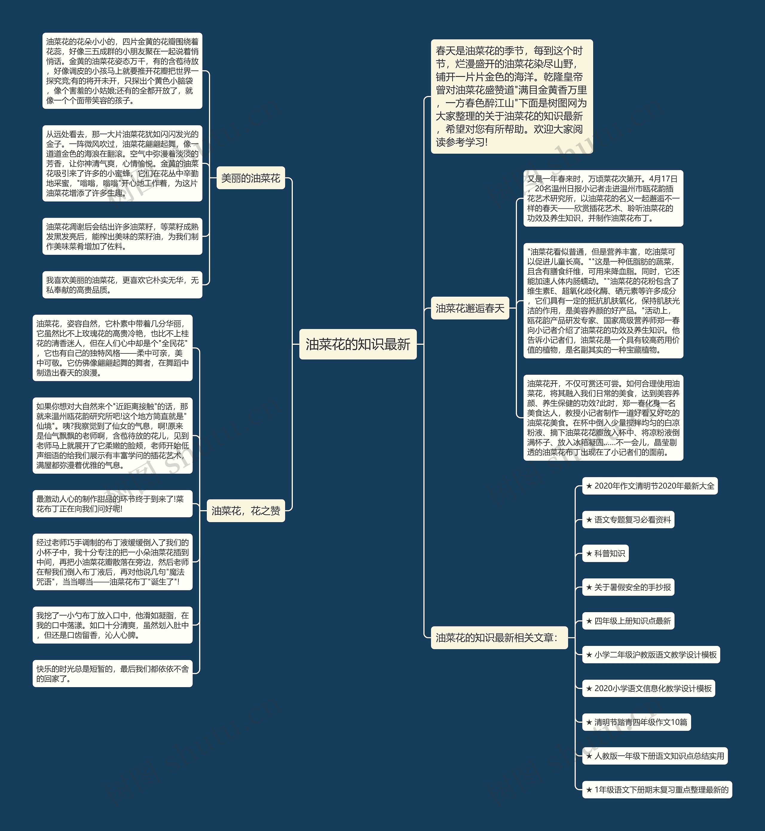 油菜花的知识最新思维导图