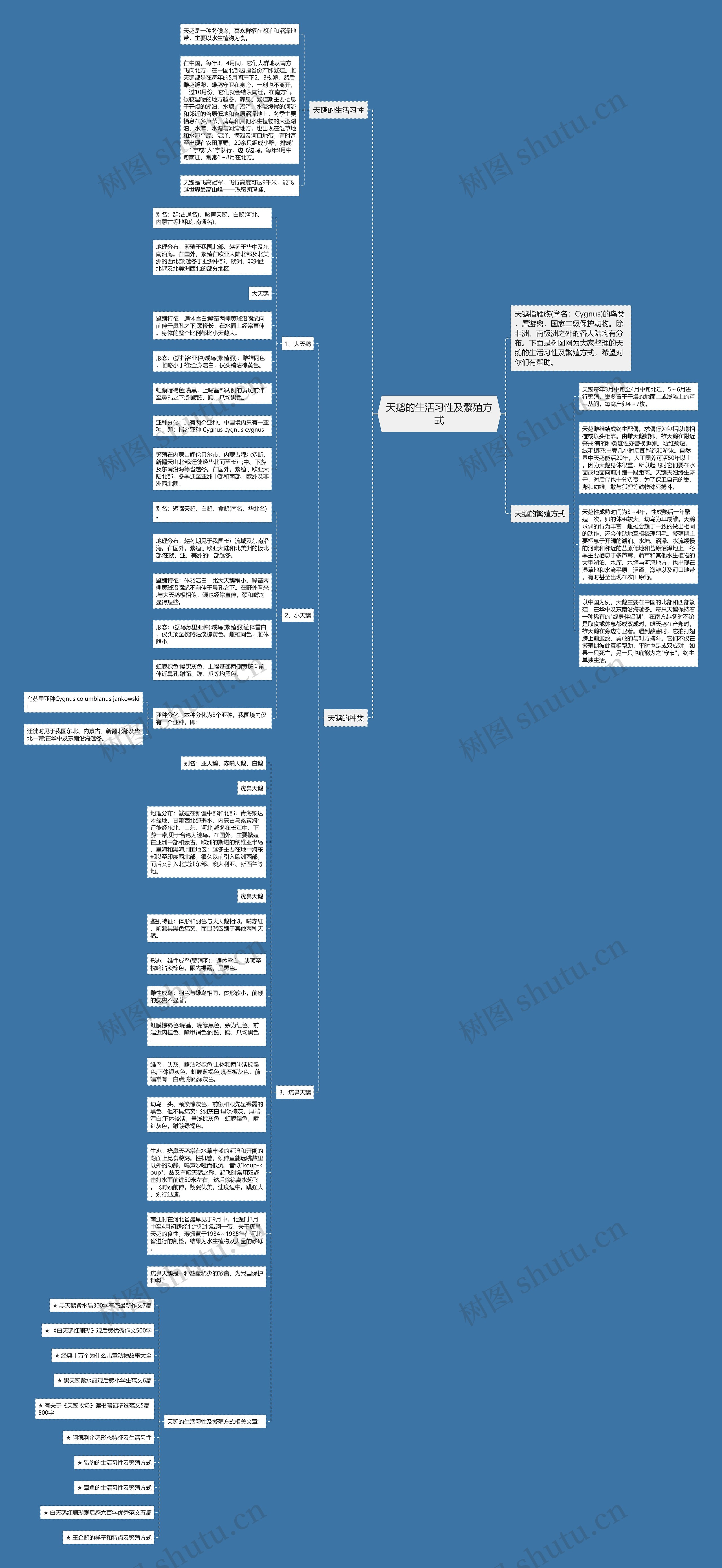 天鹅的生活习性及繁殖方式思维导图