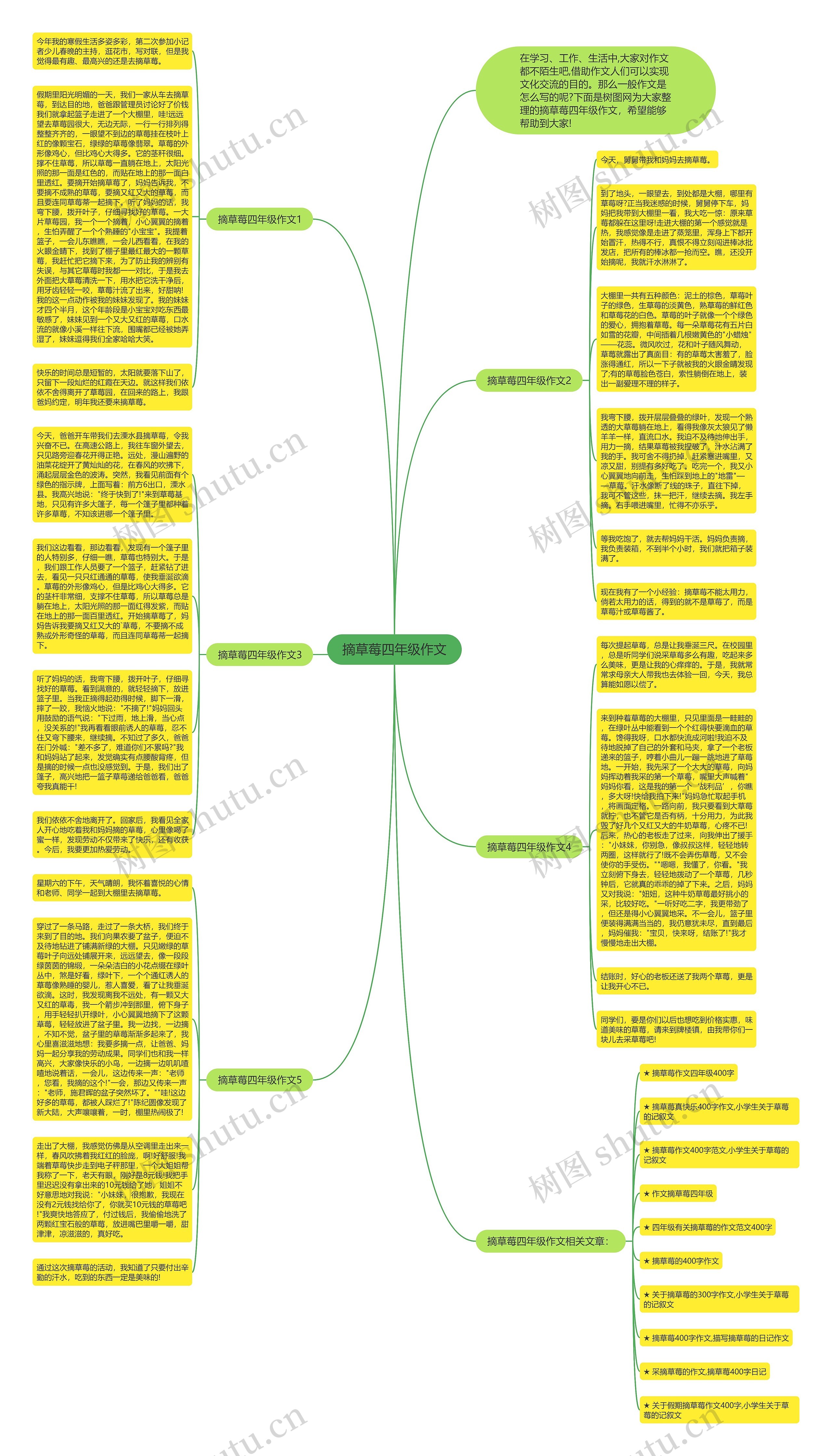 摘草莓四年级作文思维导图