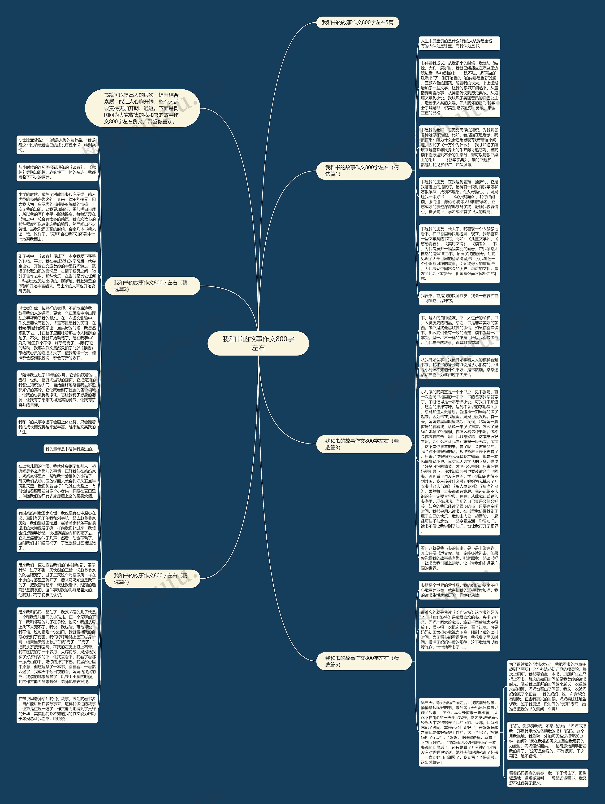 我和书的故事作文800字左右思维导图