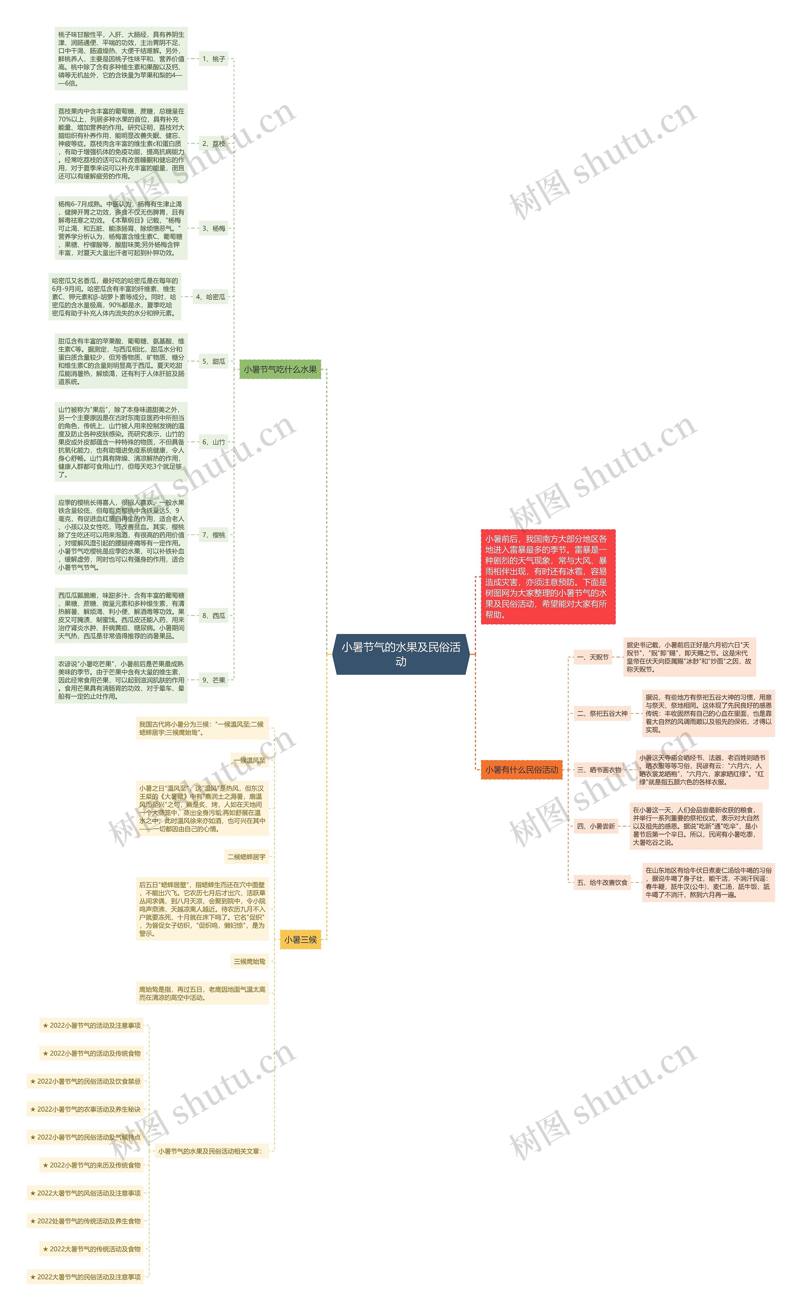 小暑节气的水果及民俗活动思维导图