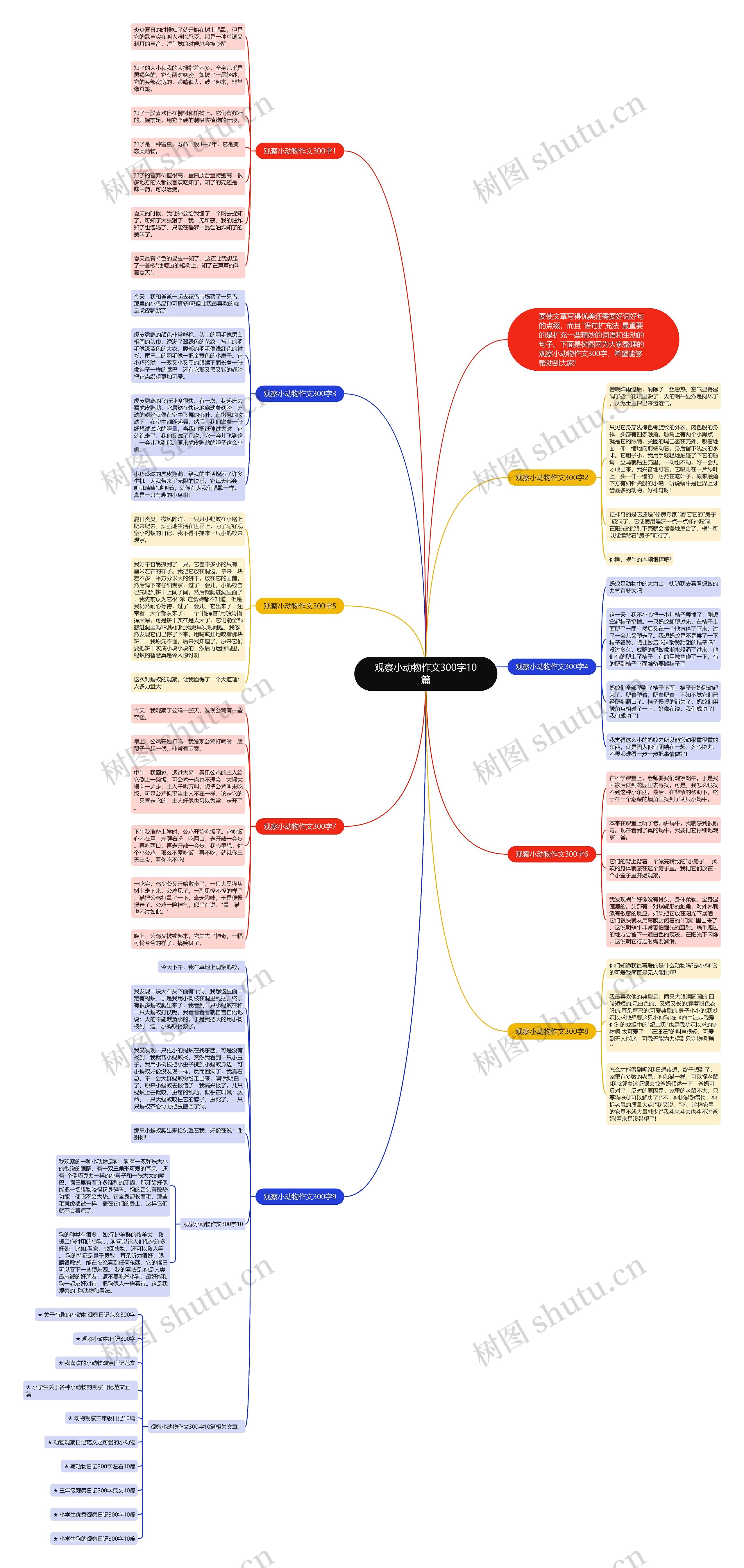 观察小动物作文300字10篇思维导图