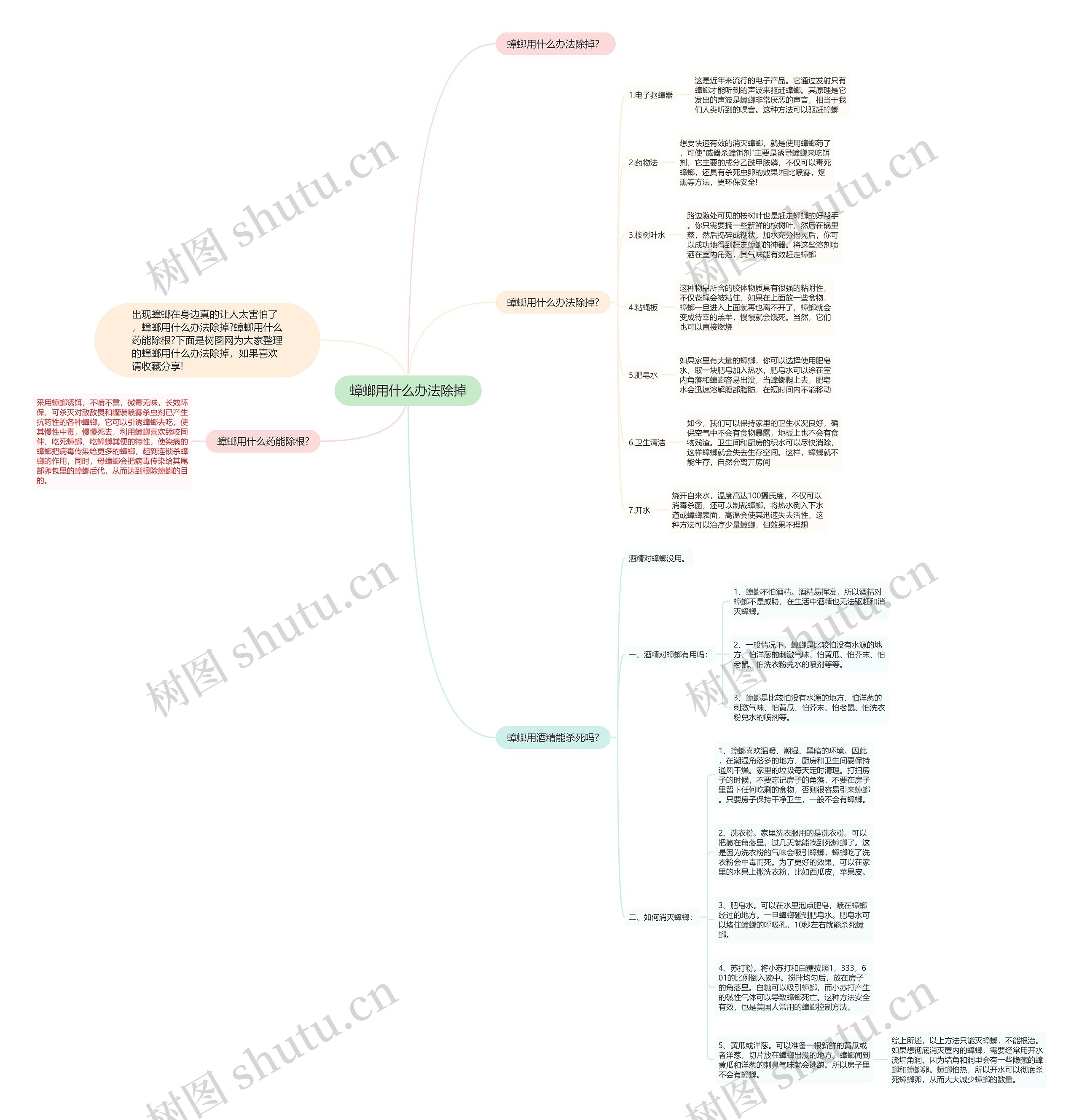 蟑螂用什么办法除掉思维导图