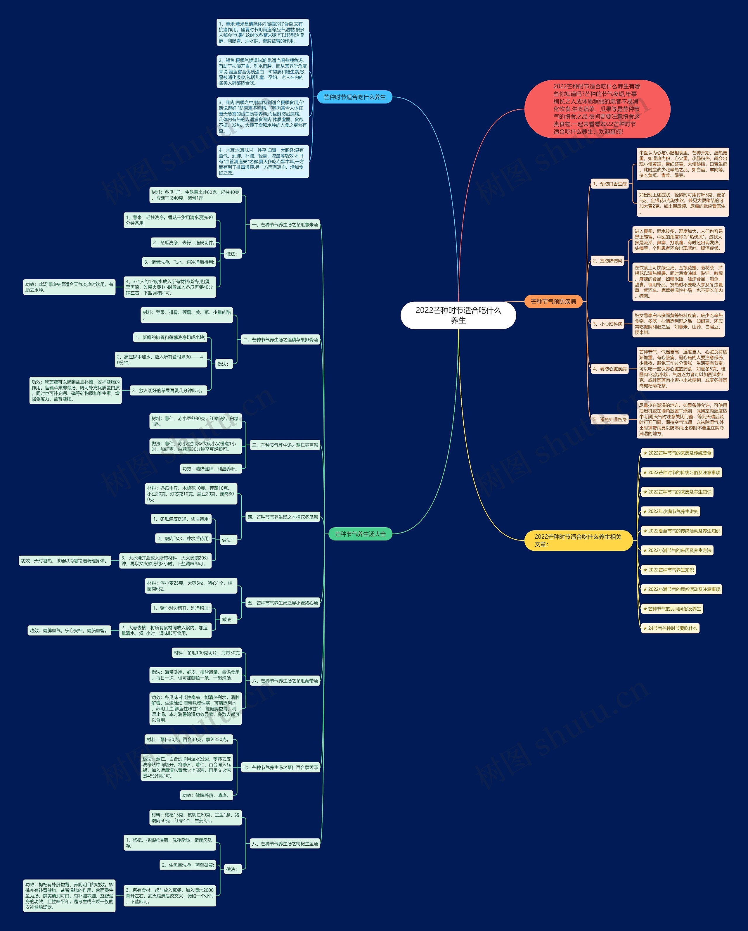 2022芒种时节适合吃什么养生思维导图
