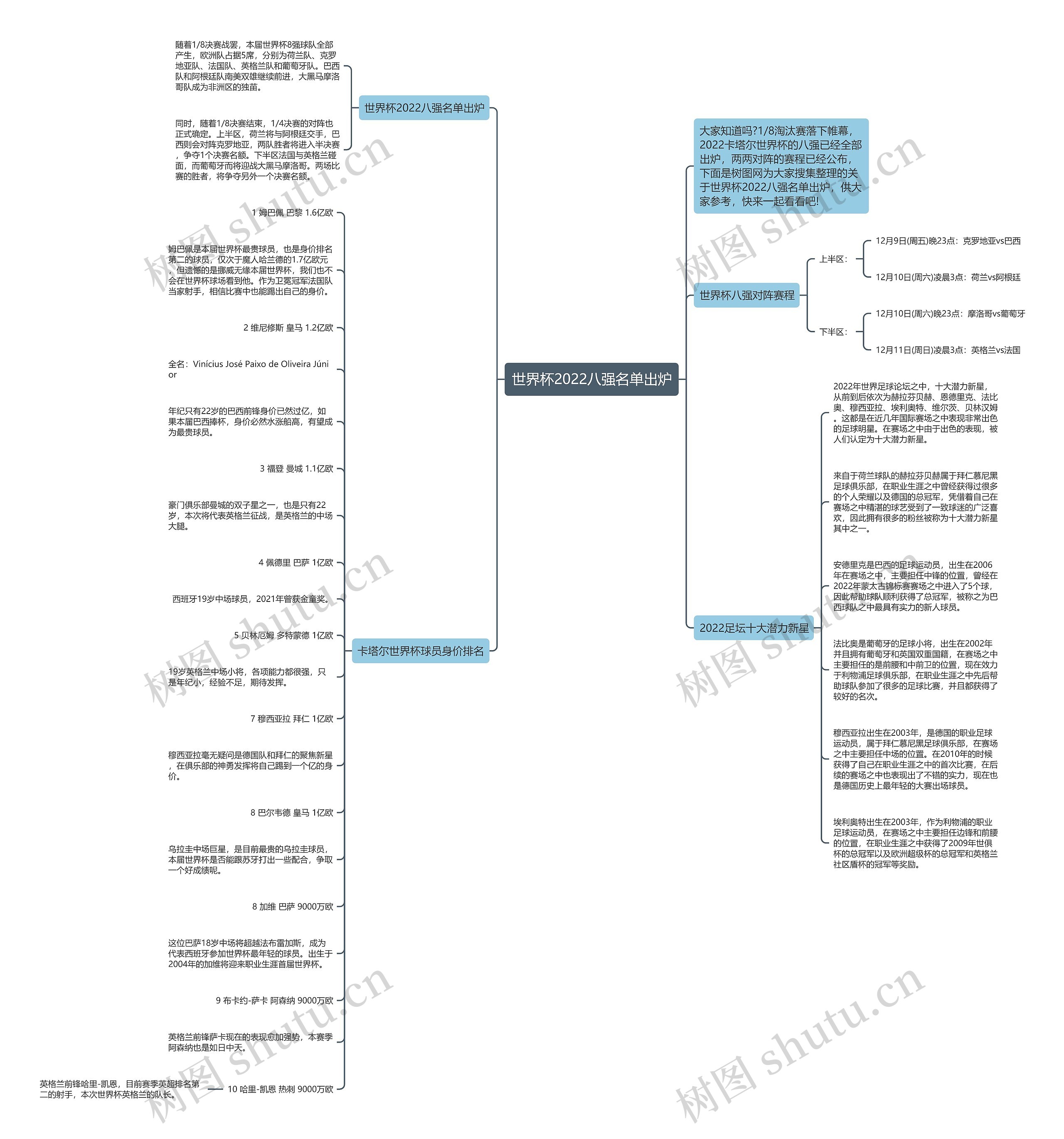 世界杯2022八强名单出炉思维导图