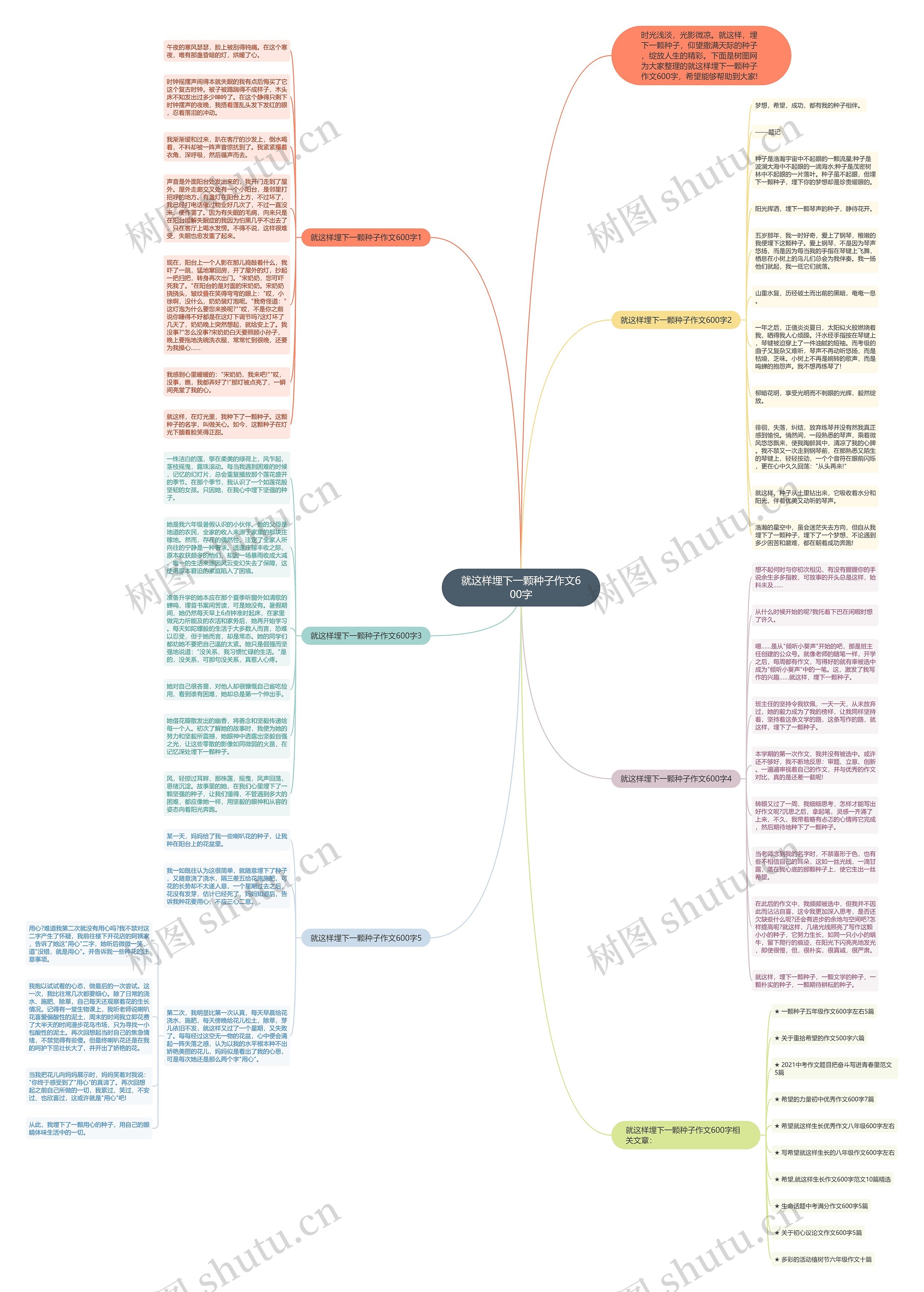 就这样埋下一颗种子作文600字思维导图