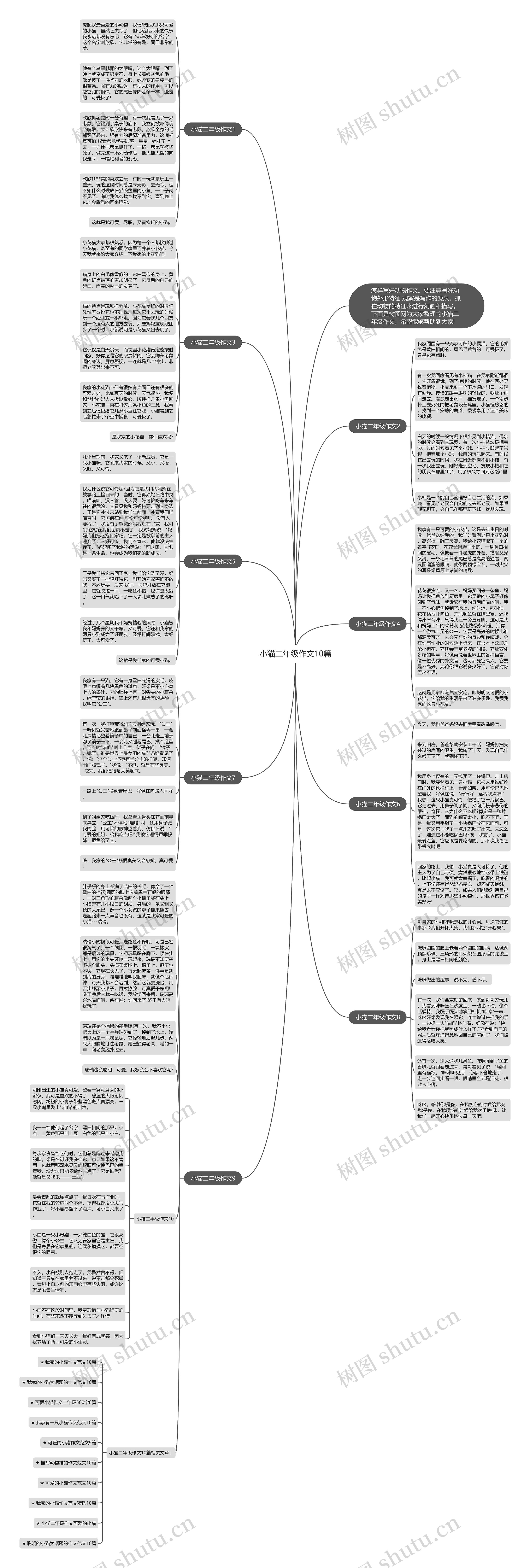 小猫二年级作文10篇思维导图