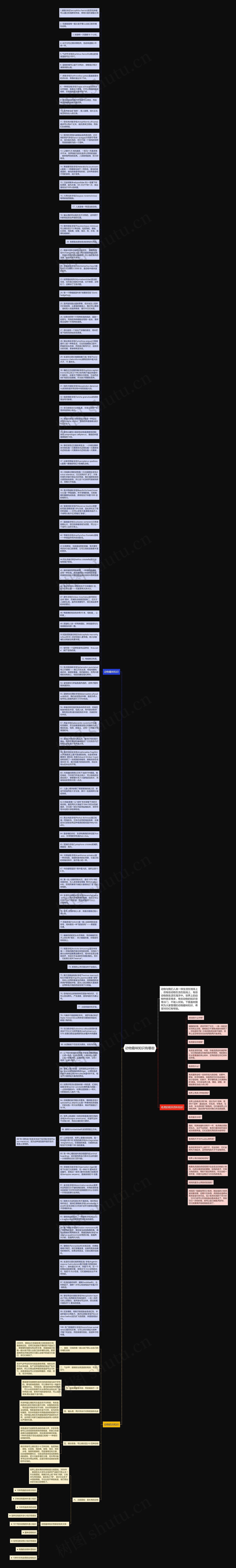动物趣味知识有哪些思维导图