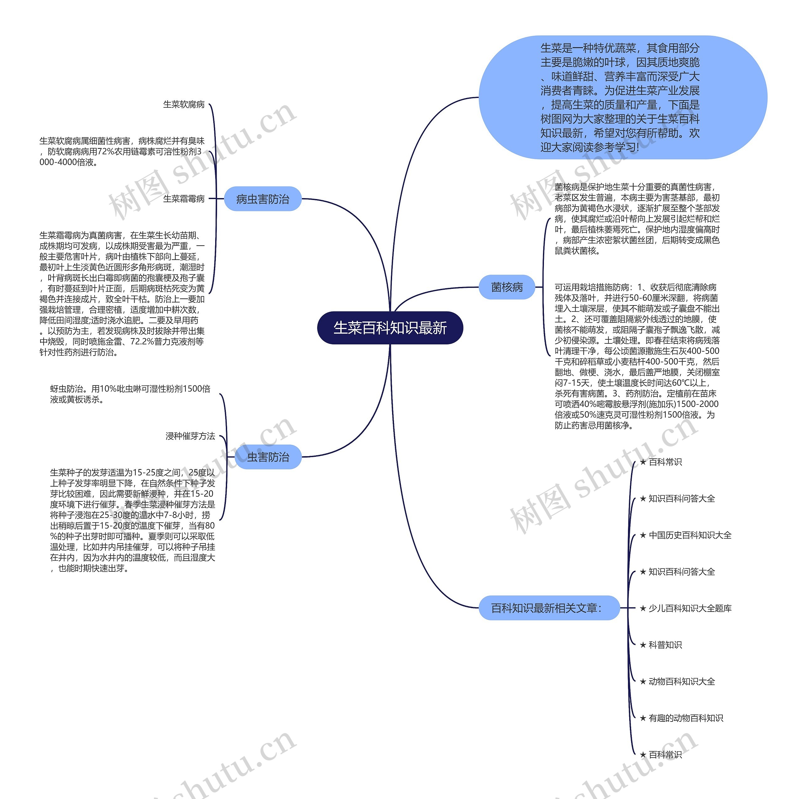 生菜百科知识最新思维导图