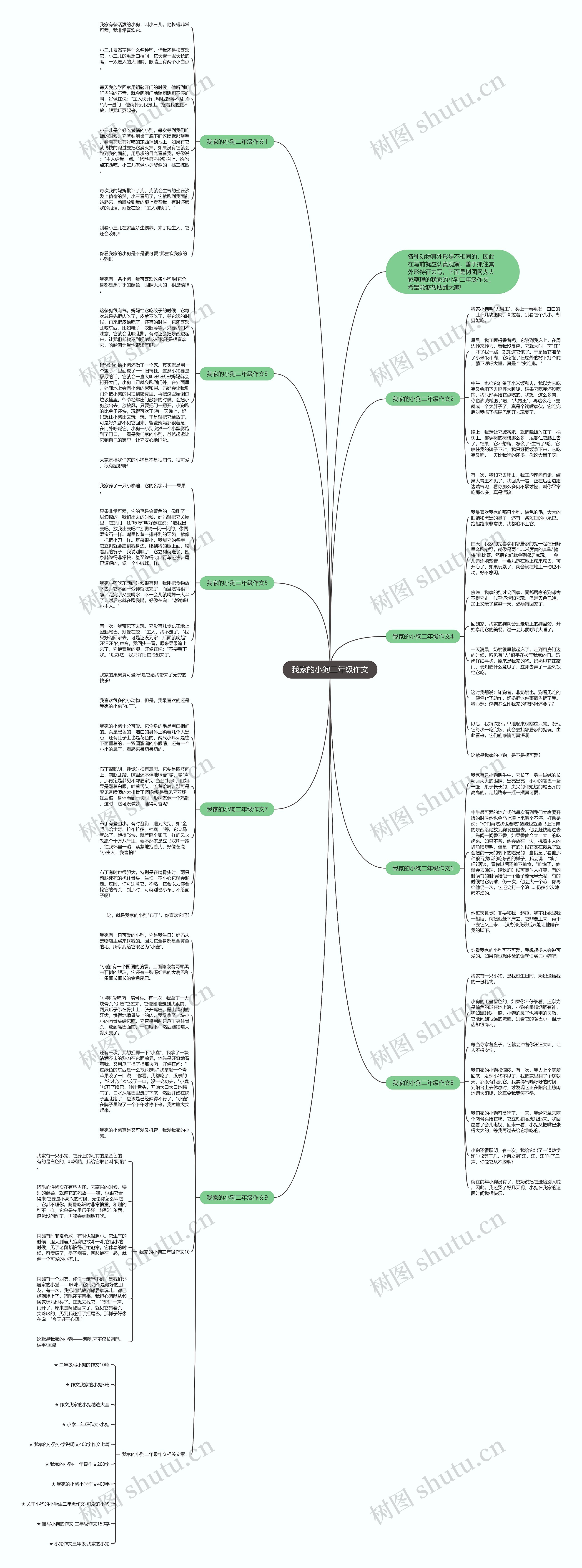我家的小狗二年级作文思维导图