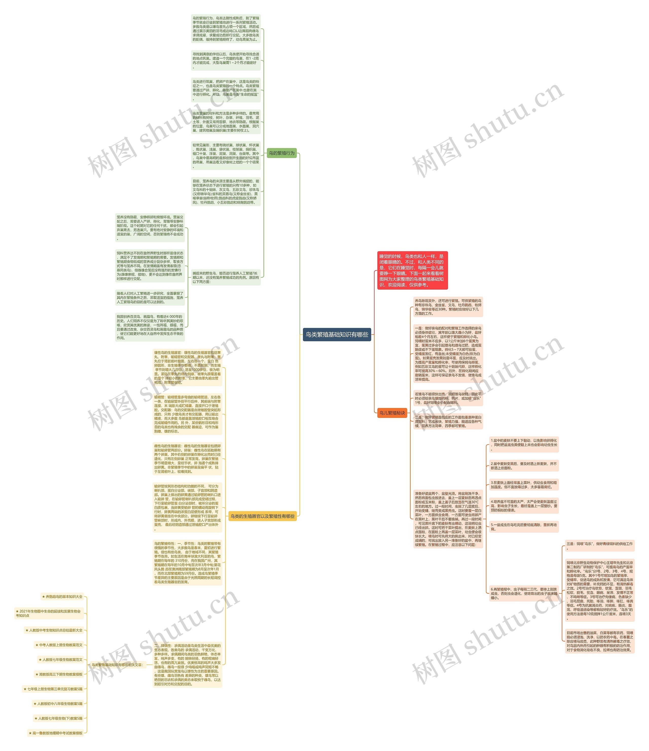 鸟类繁殖基础知识有哪些思维导图