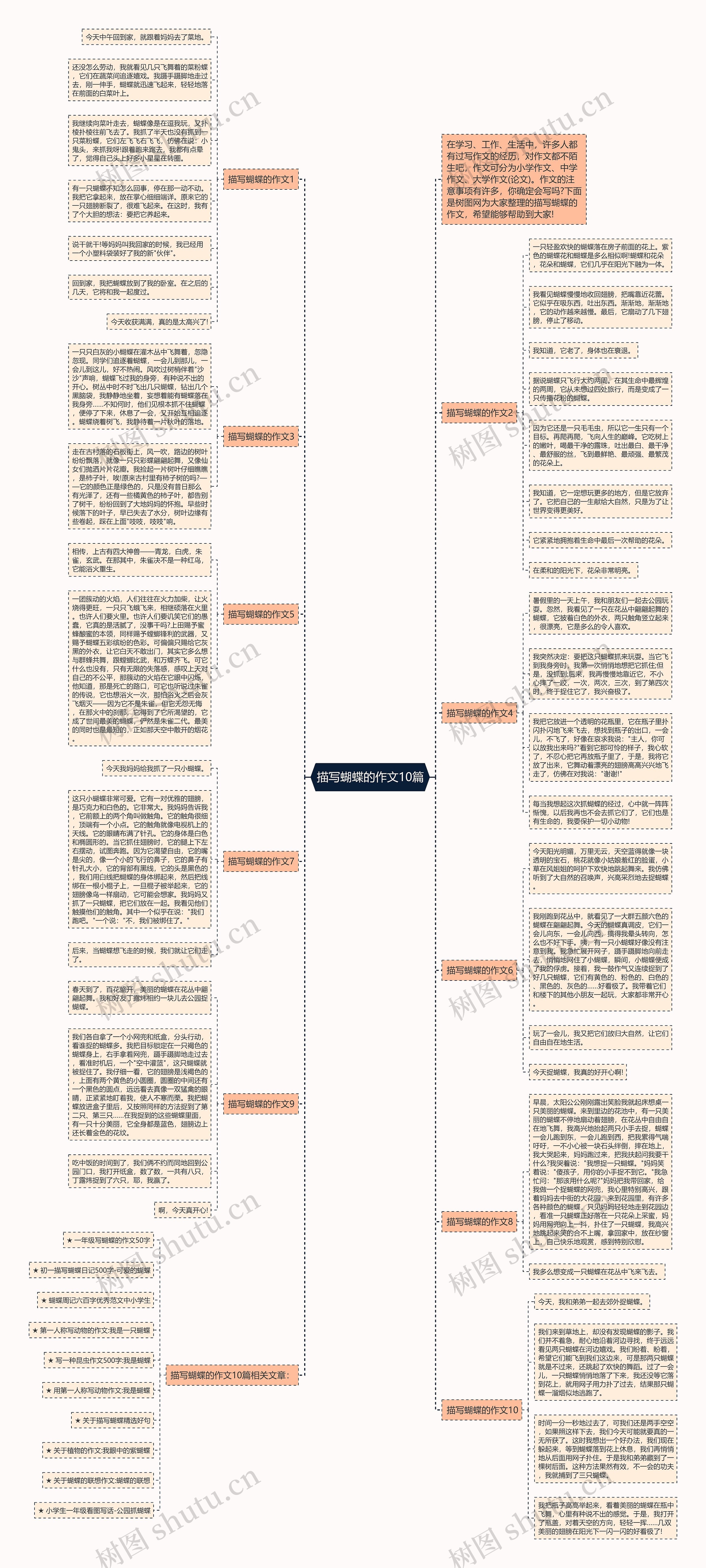 描写蝴蝶的作文10篇思维导图