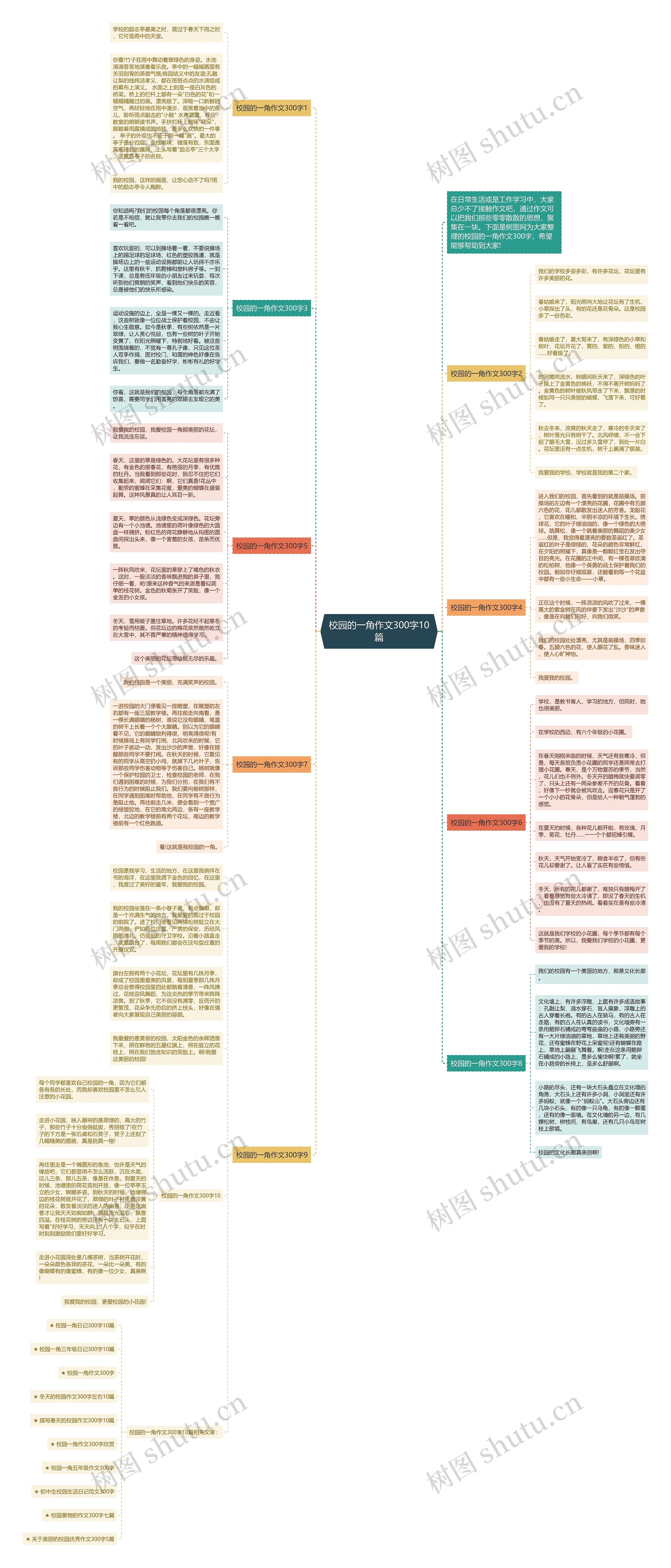 校园的一角作文300字10篇思维导图