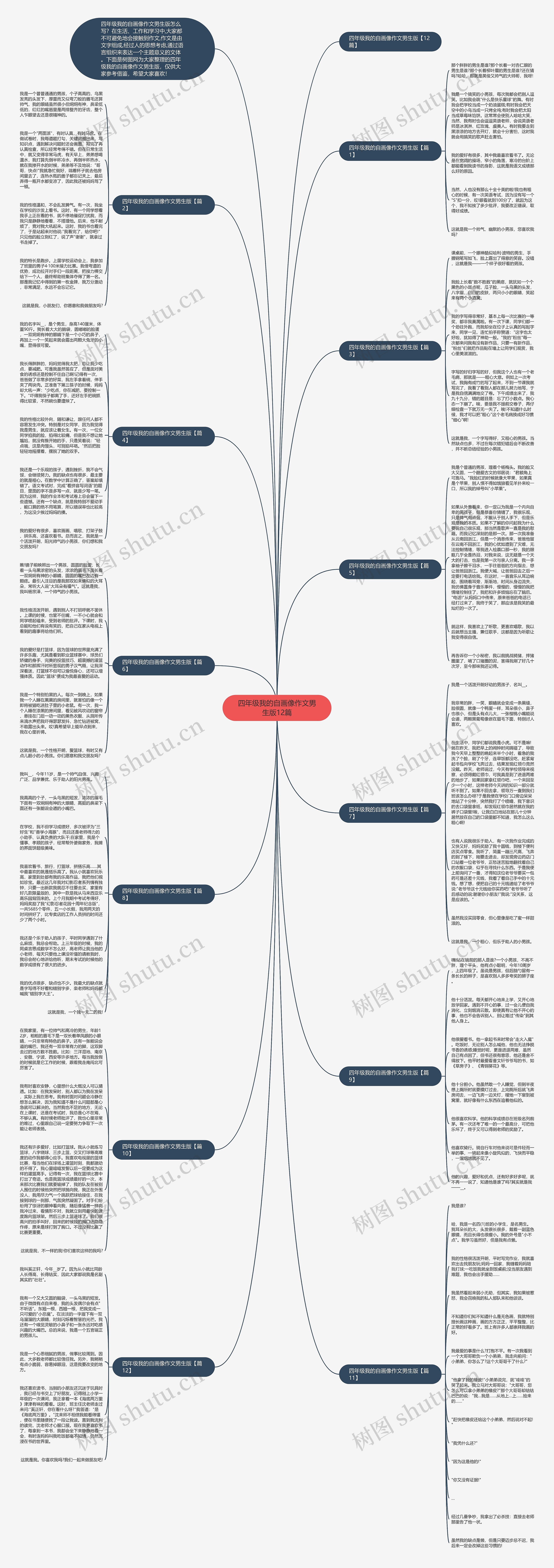 四年级我的自画像作文男生版12篇思维导图