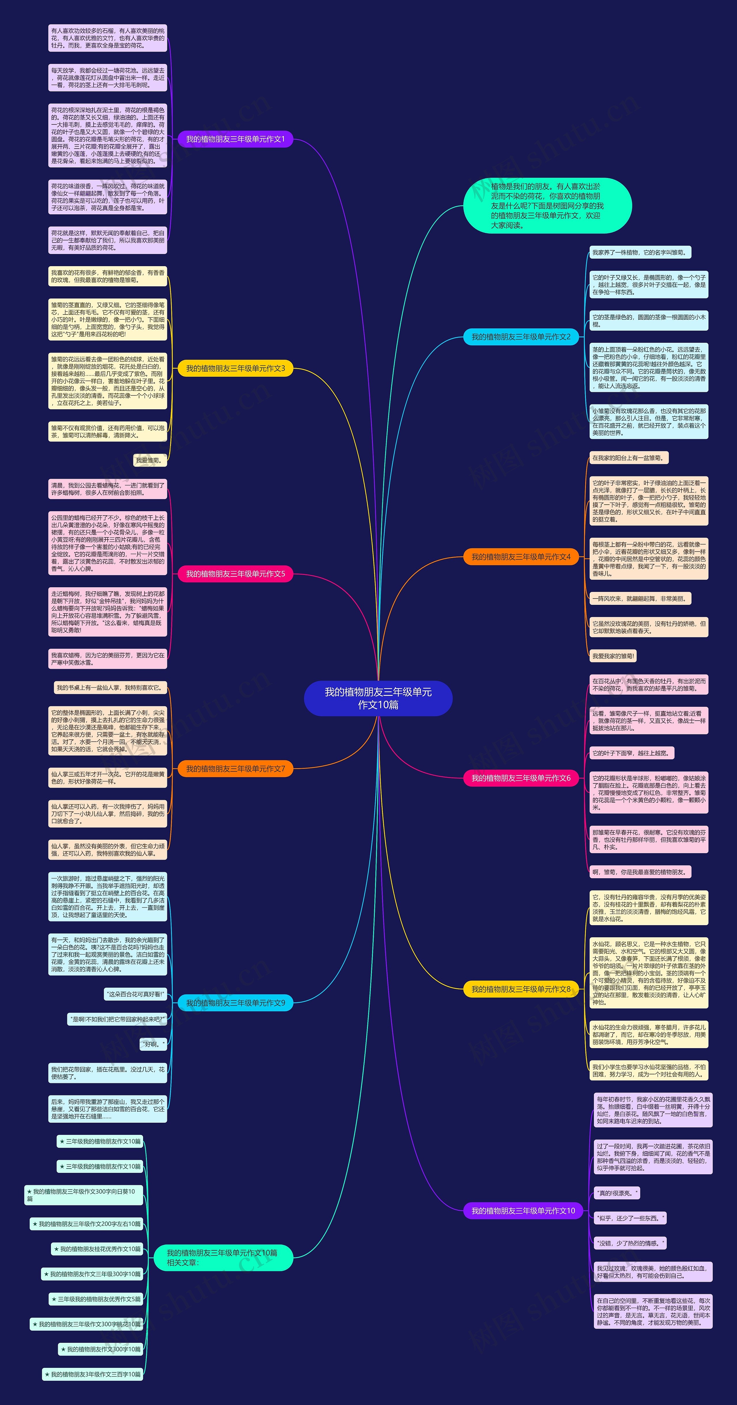 我的植物朋友三年级单元作文10篇思维导图