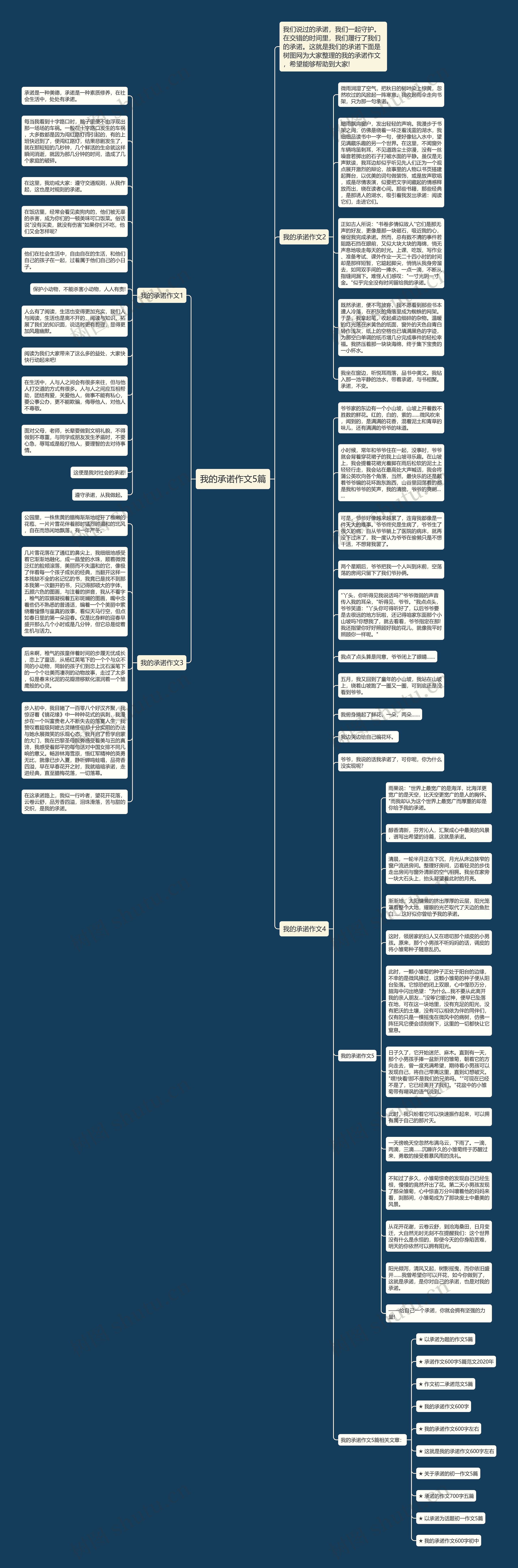 我的承诺作文5篇思维导图