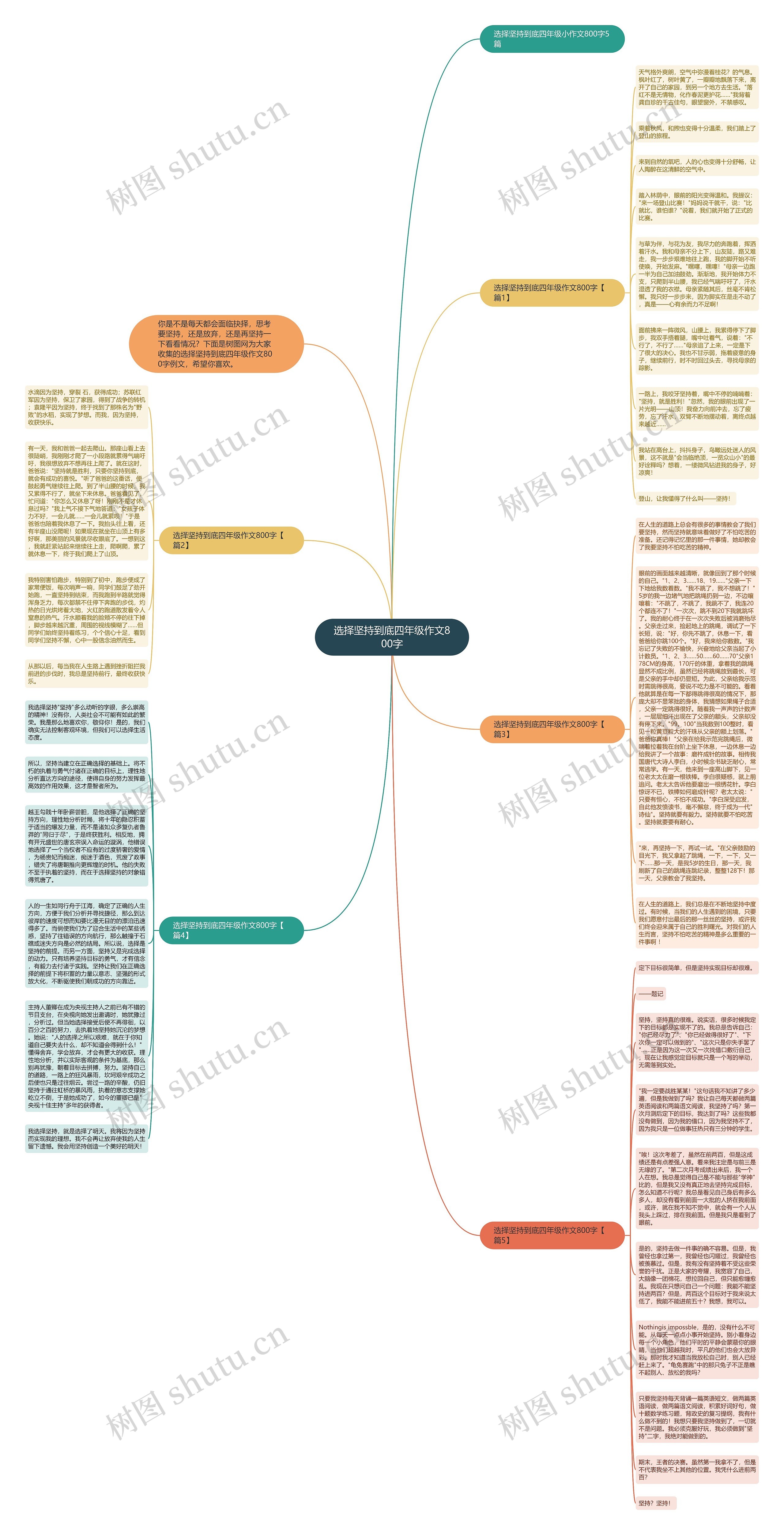 选择坚持到底四年级作文800字思维导图