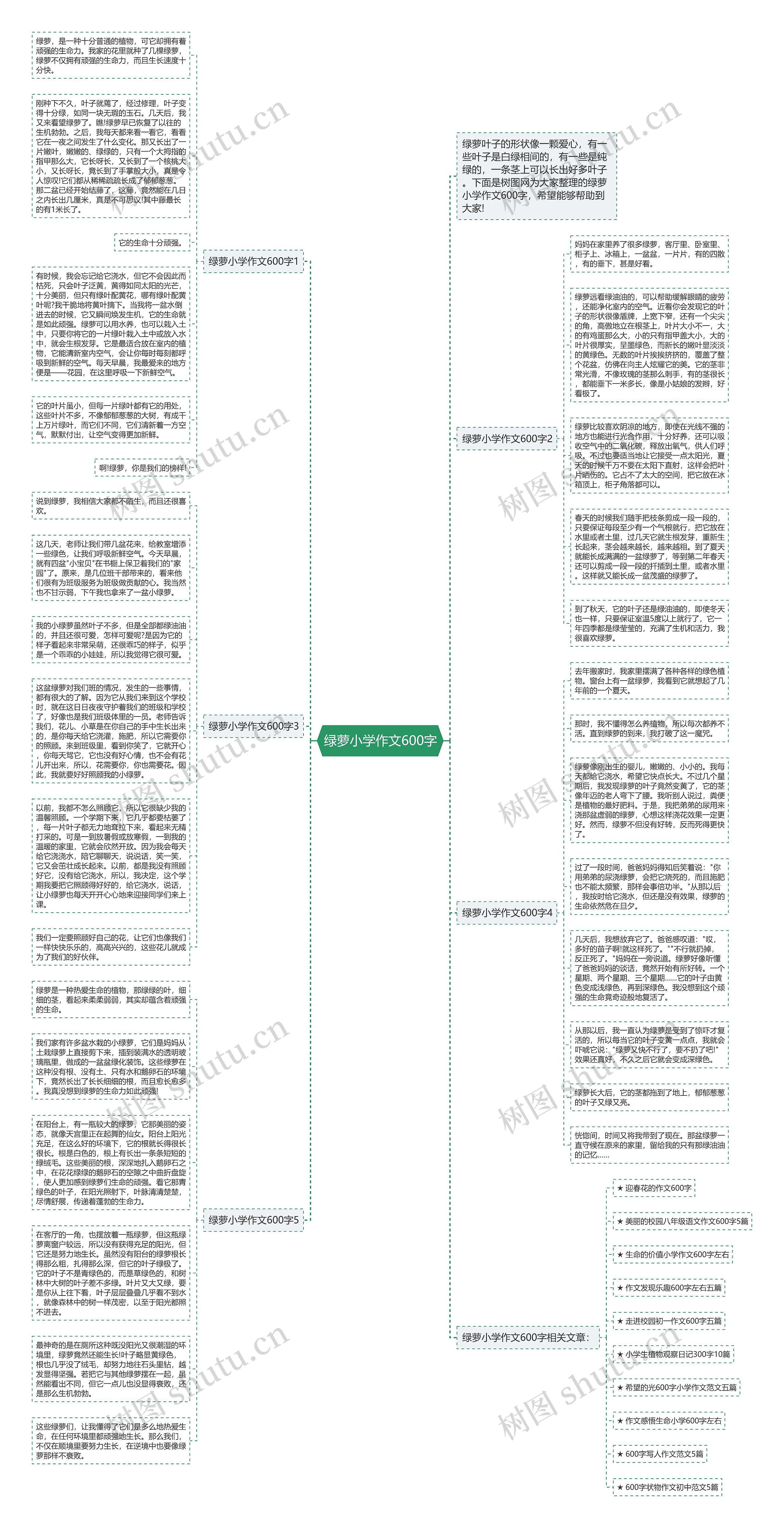 绿萝小学作文600字思维导图