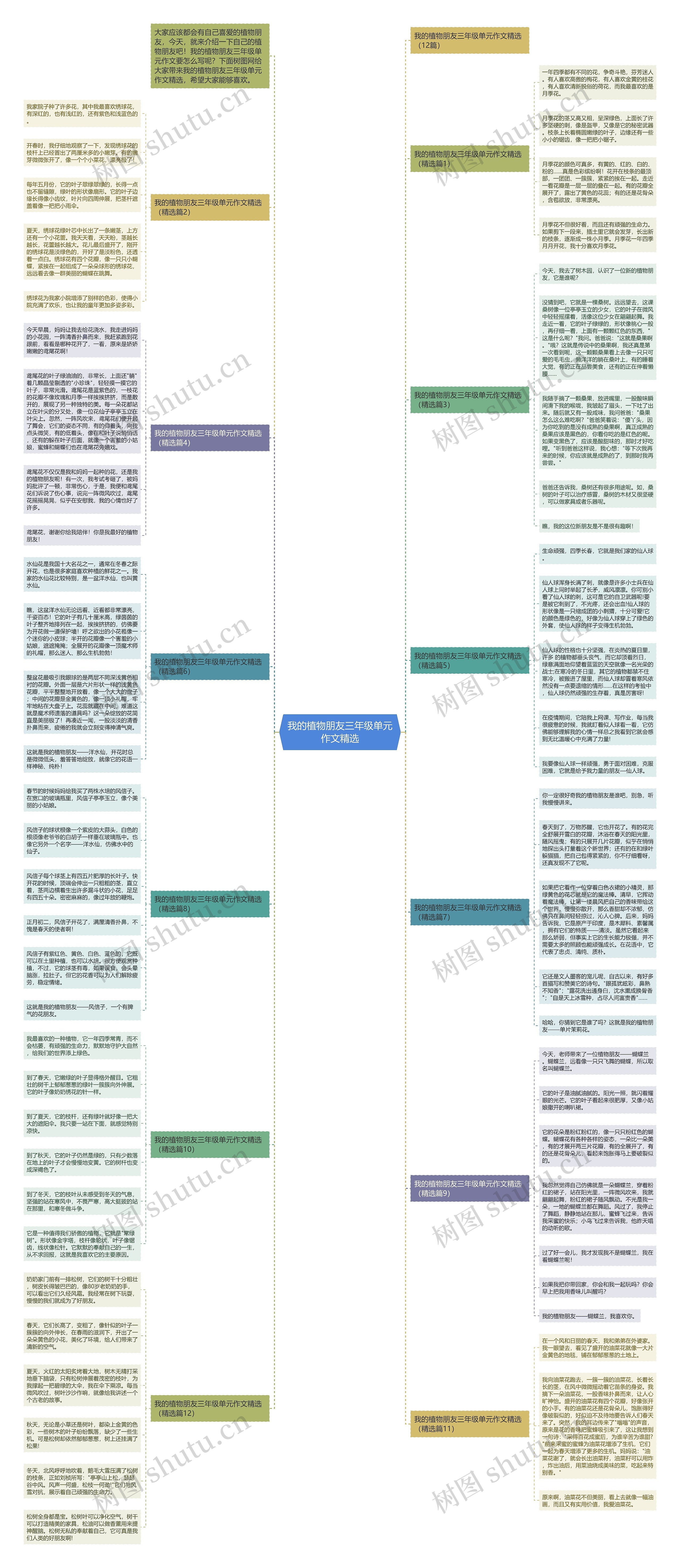 我的植物朋友三年级单元作文精选思维导图