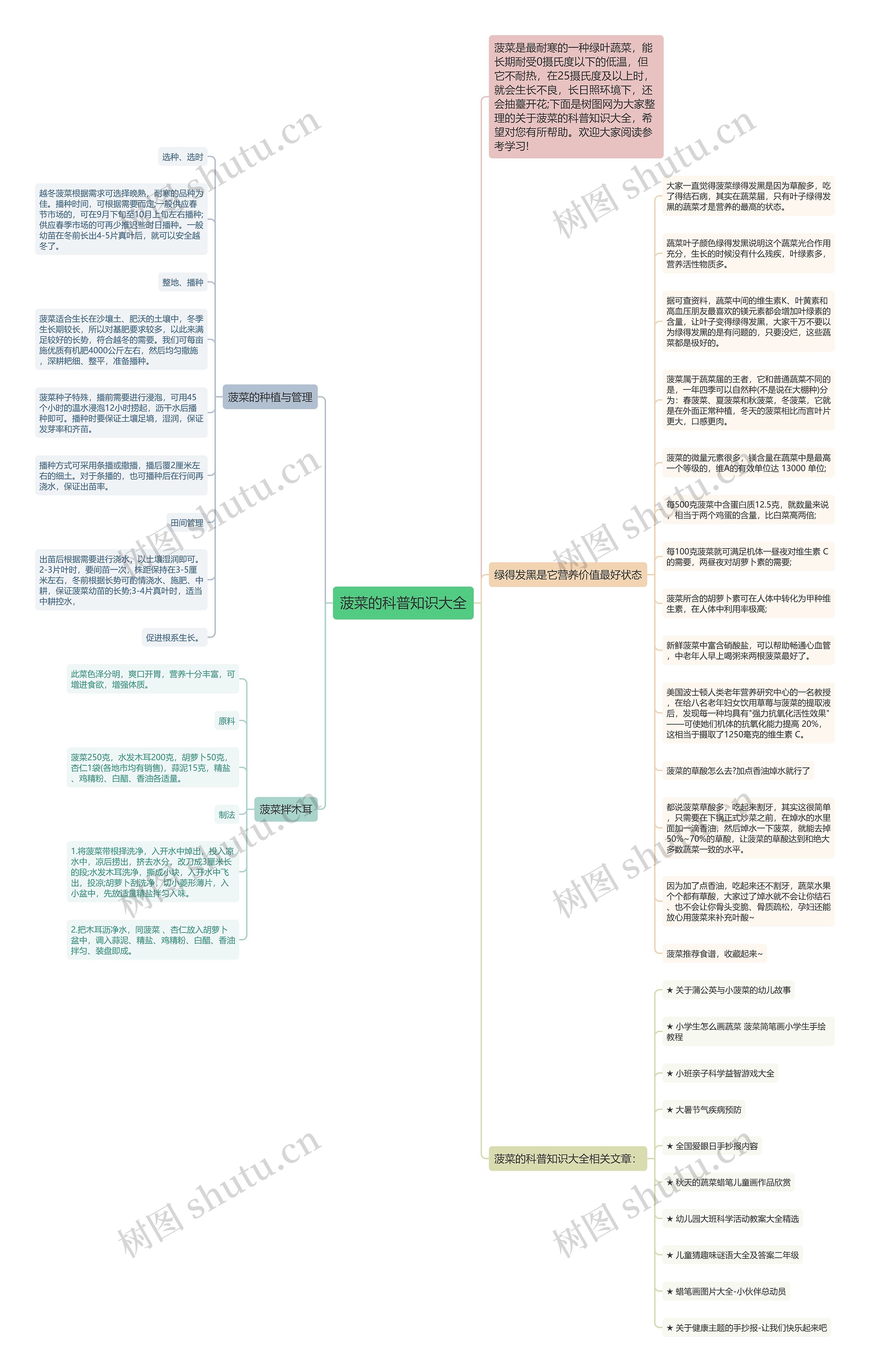 菠菜的科普知识大全思维导图