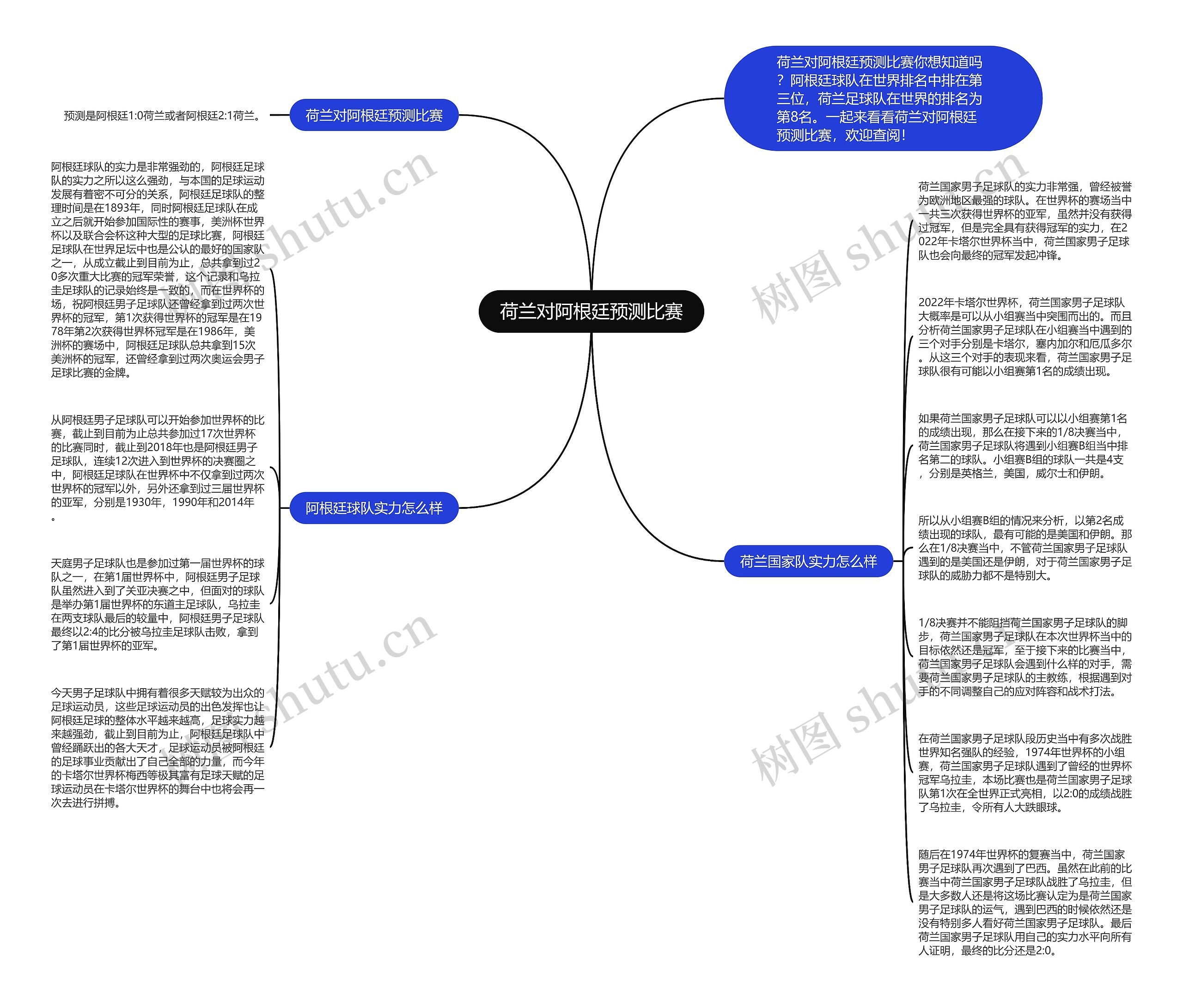 荷兰对阿根廷预测比赛思维导图