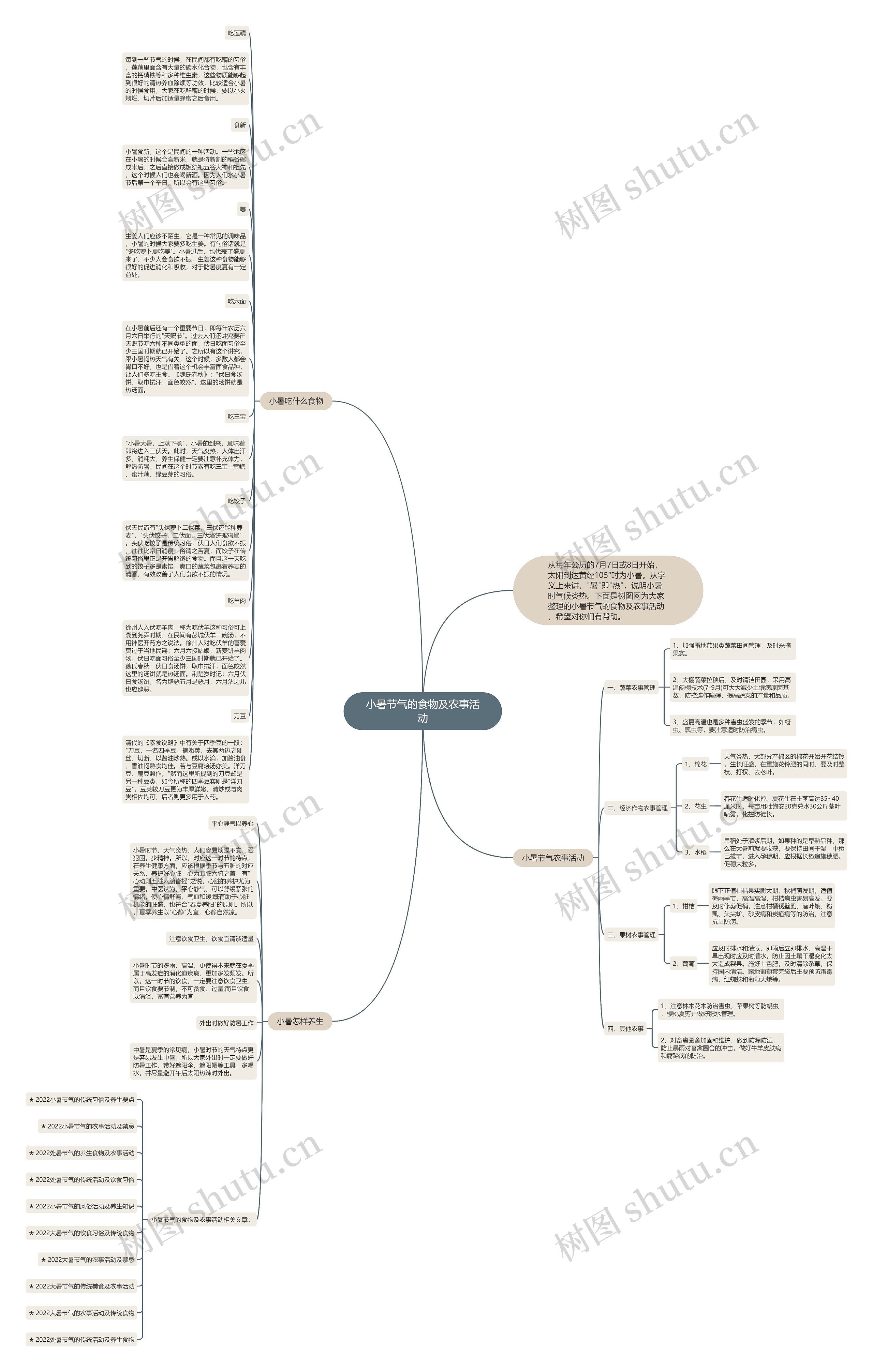 小暑节气的食物及农事活动思维导图