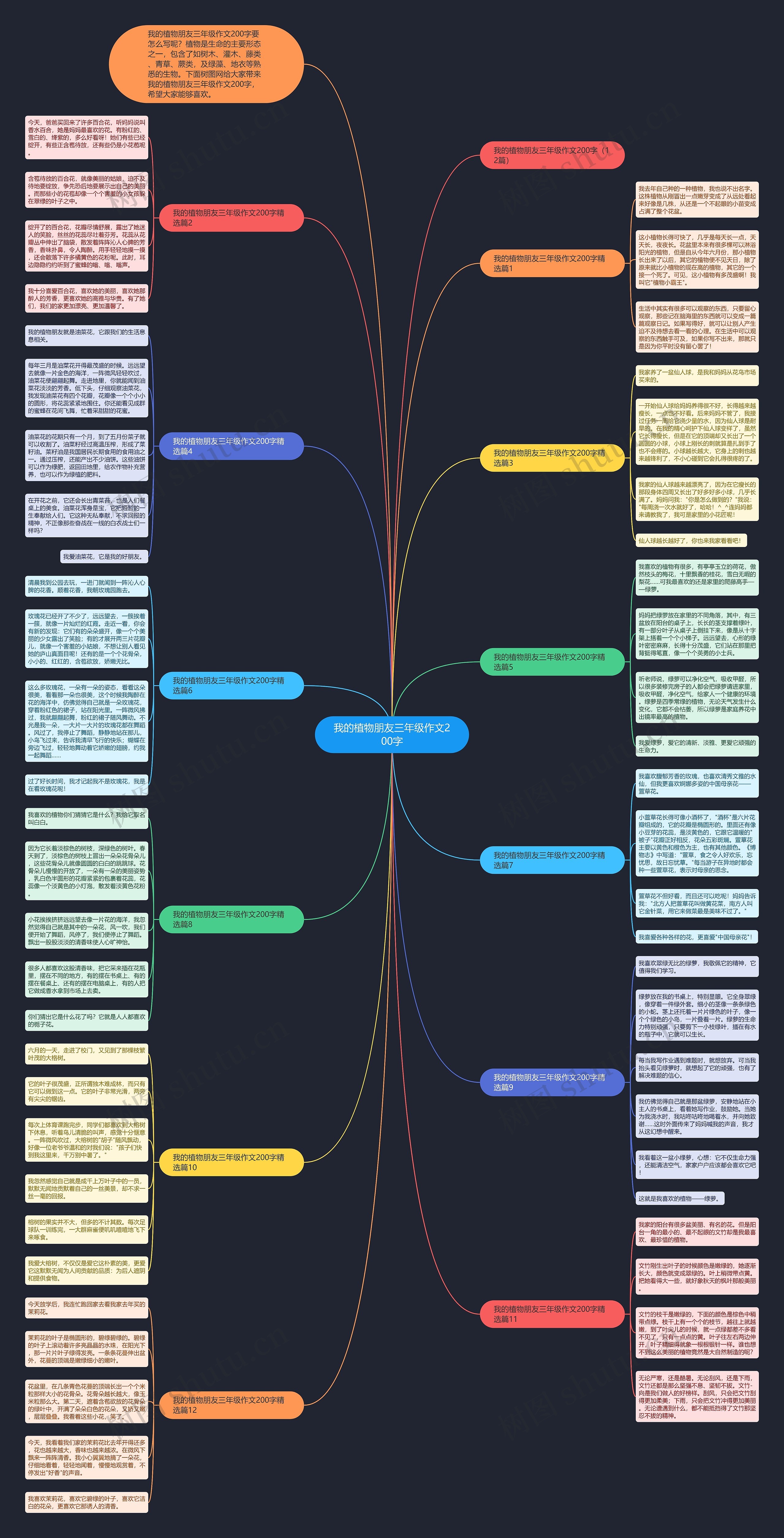 我的植物朋友三年级作文200字思维导图