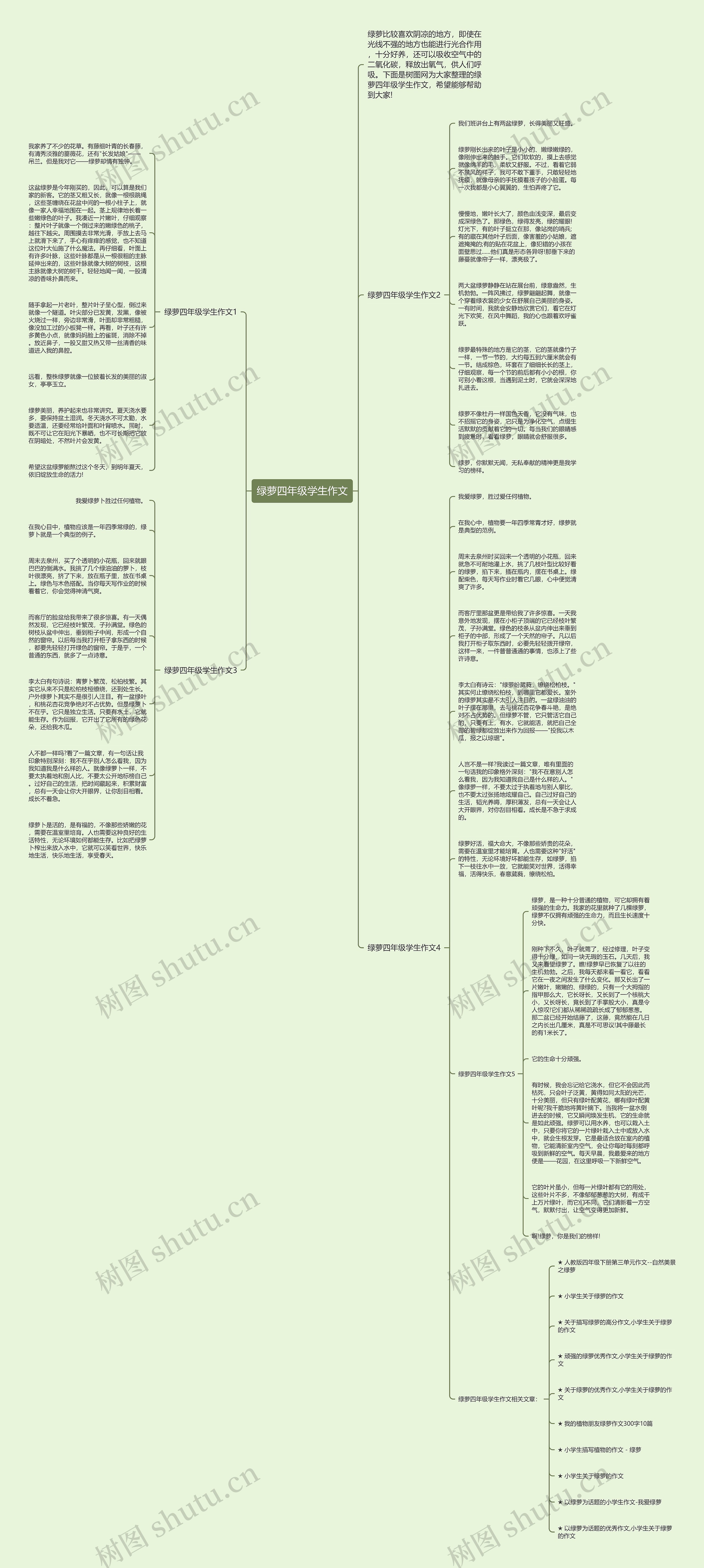 绿萝四年级学生作文思维导图