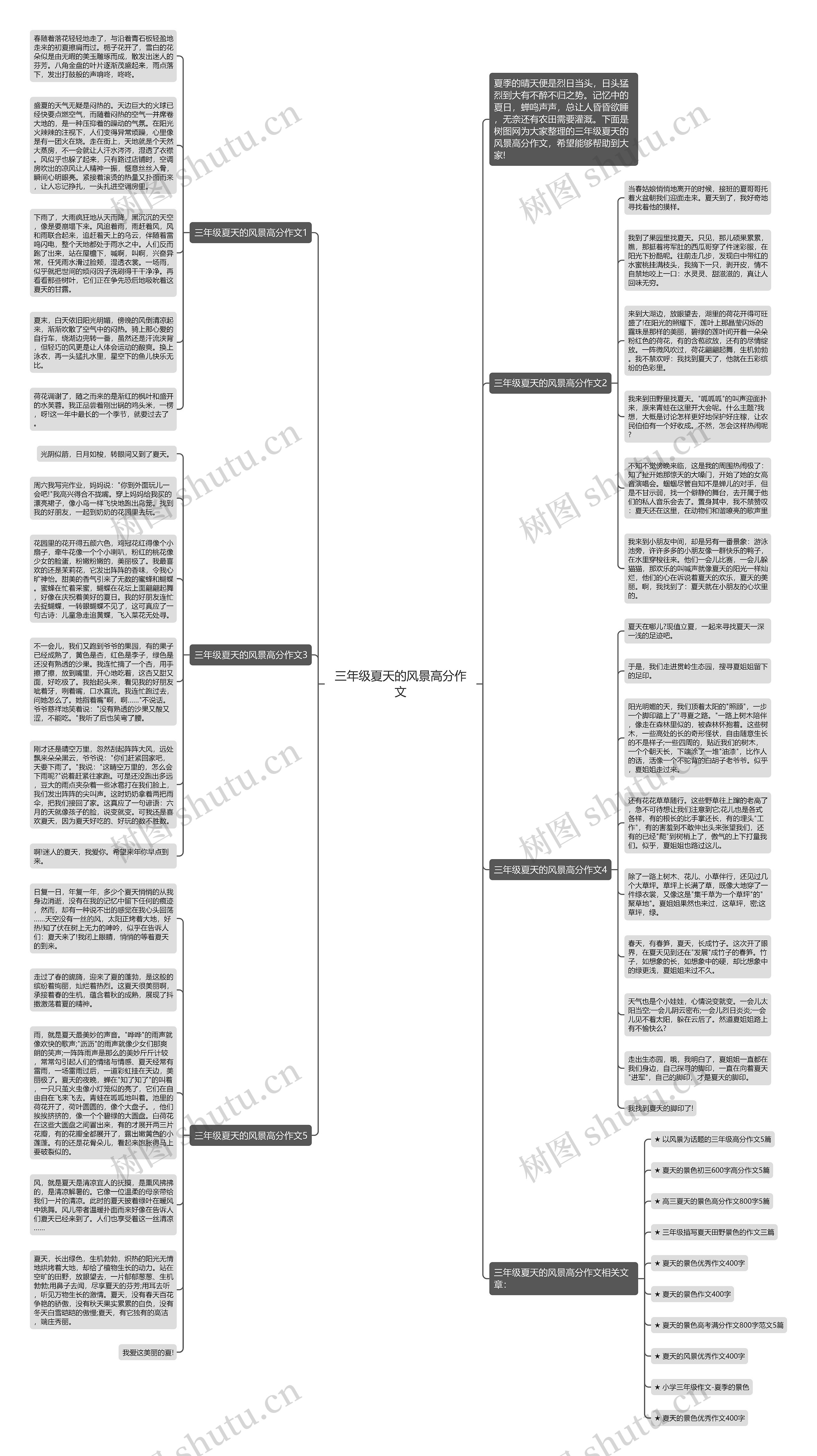 三年级夏天的风景高分作文思维导图