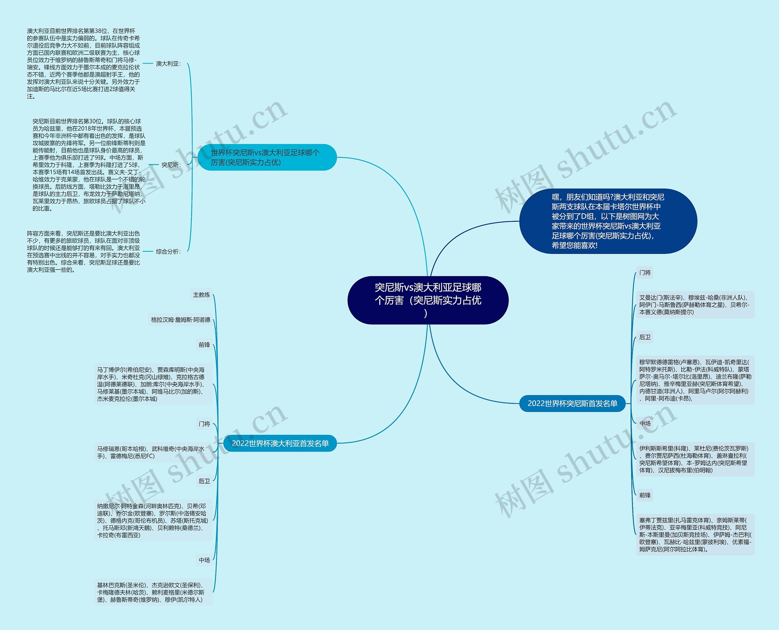 突尼斯vs澳大利亚足球哪个厉害（突尼斯实力占优）思维导图