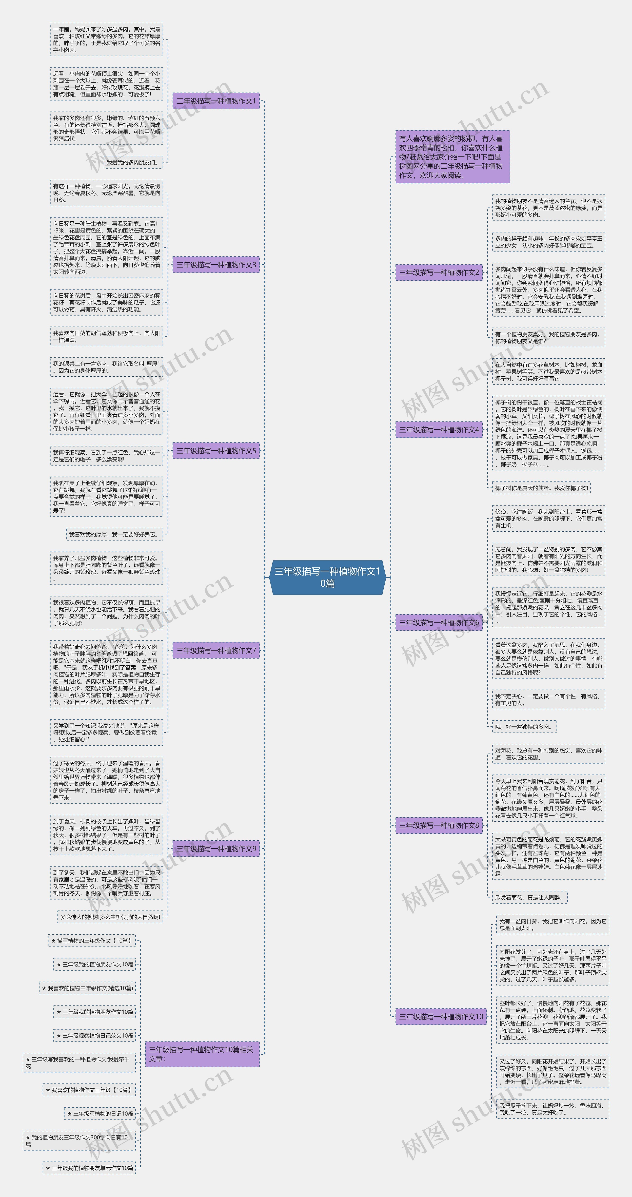 三年级描写一种植物作文10篇思维导图