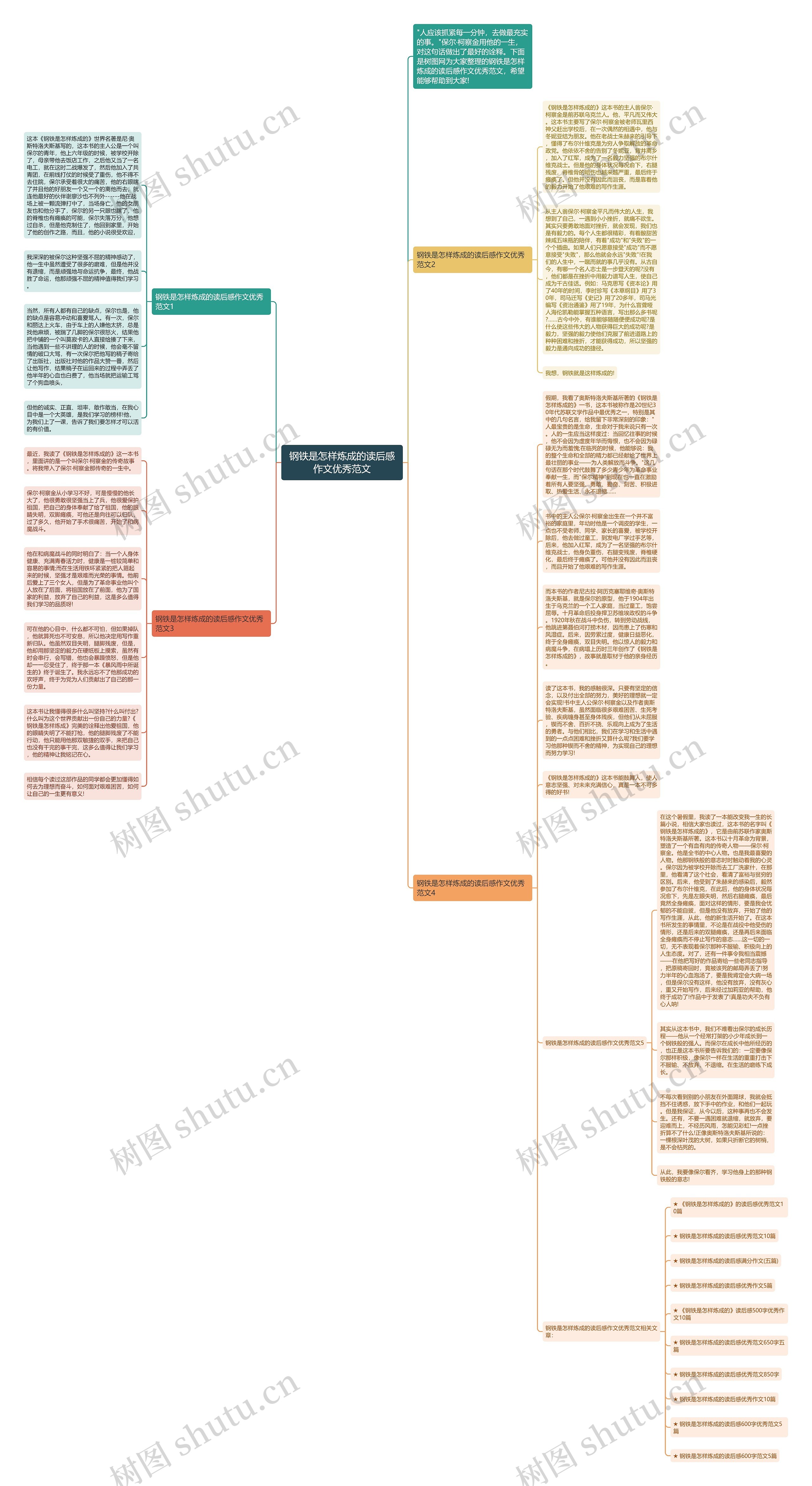 钢铁是怎样炼成的读后感作文优秀范文思维导图