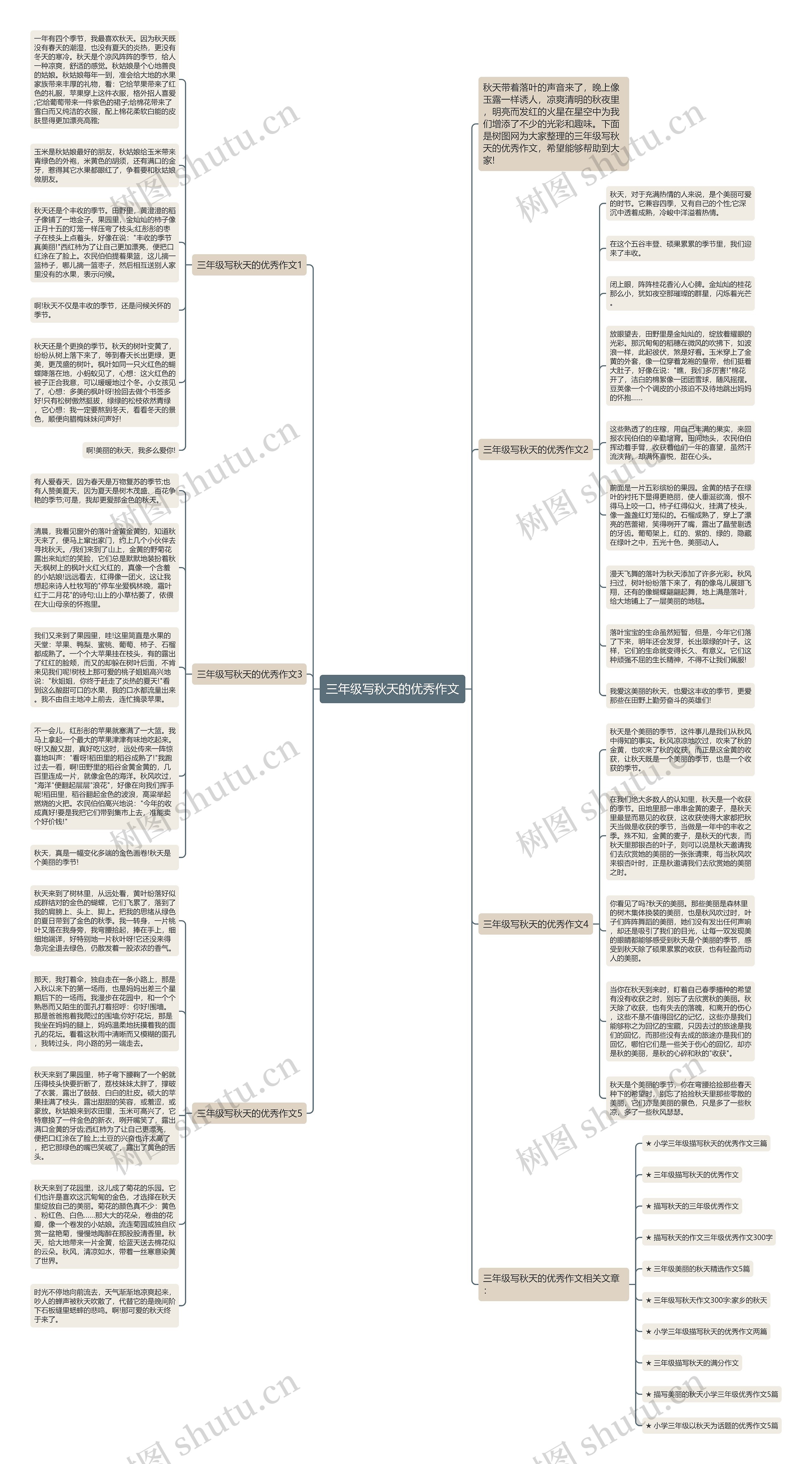 三年级写秋天的优秀作文思维导图