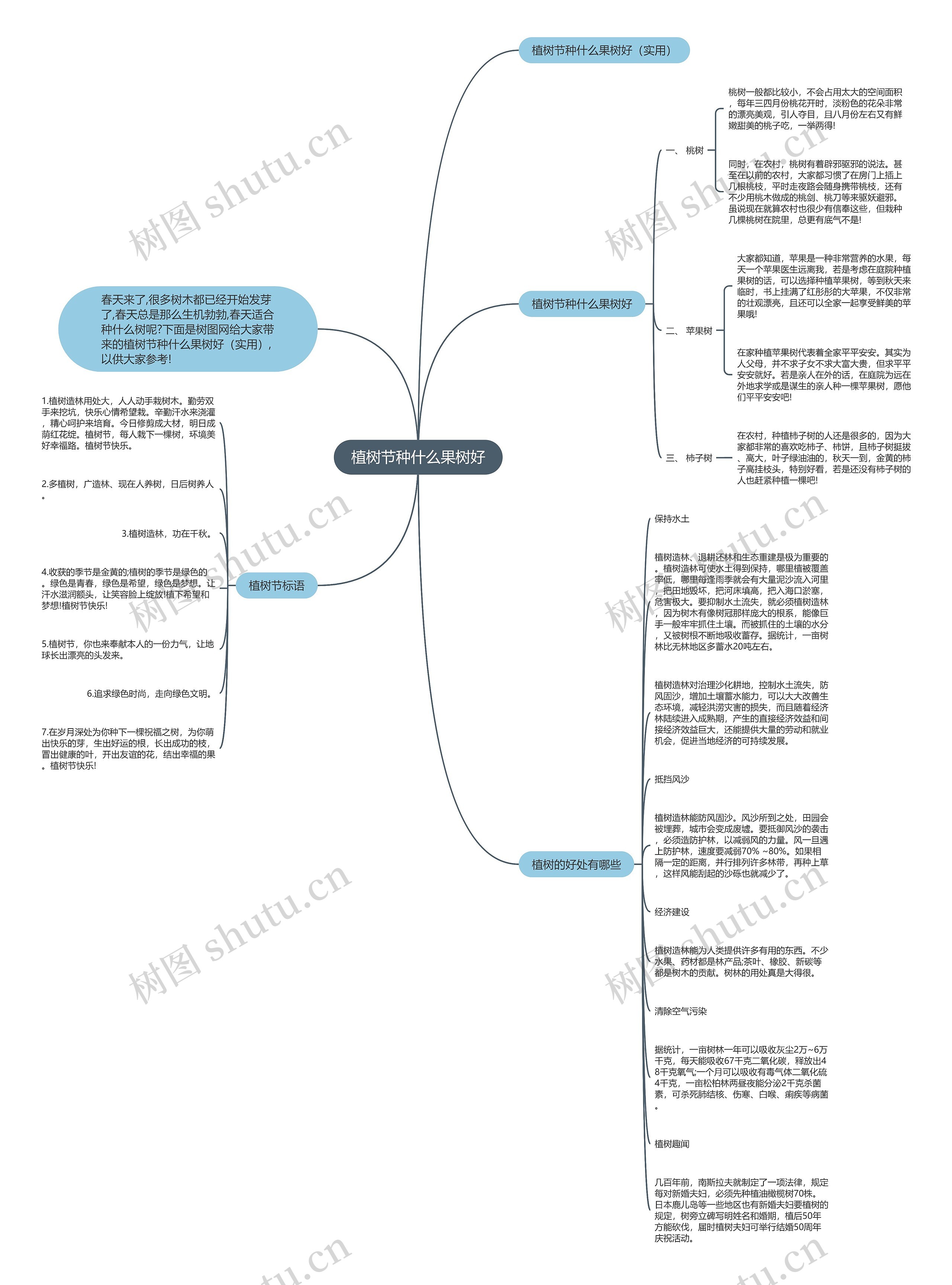 植树节种什么果树好思维导图