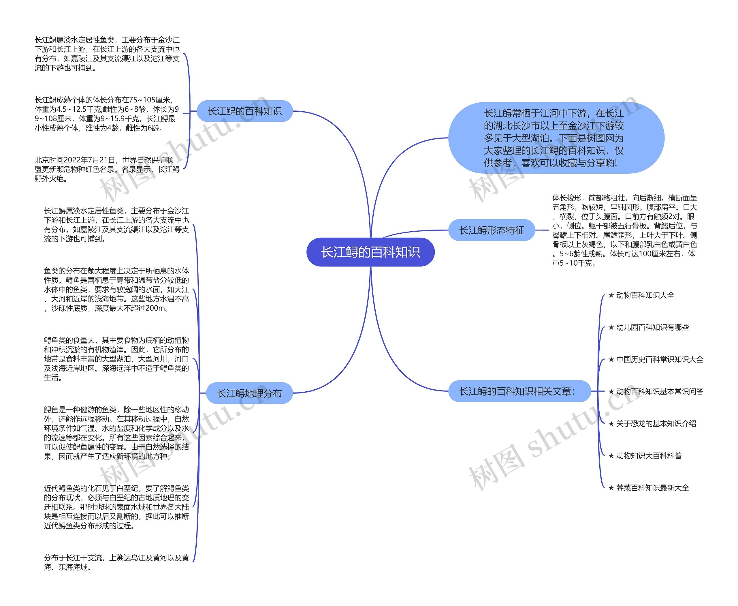 长江鲟的百科知识思维导图