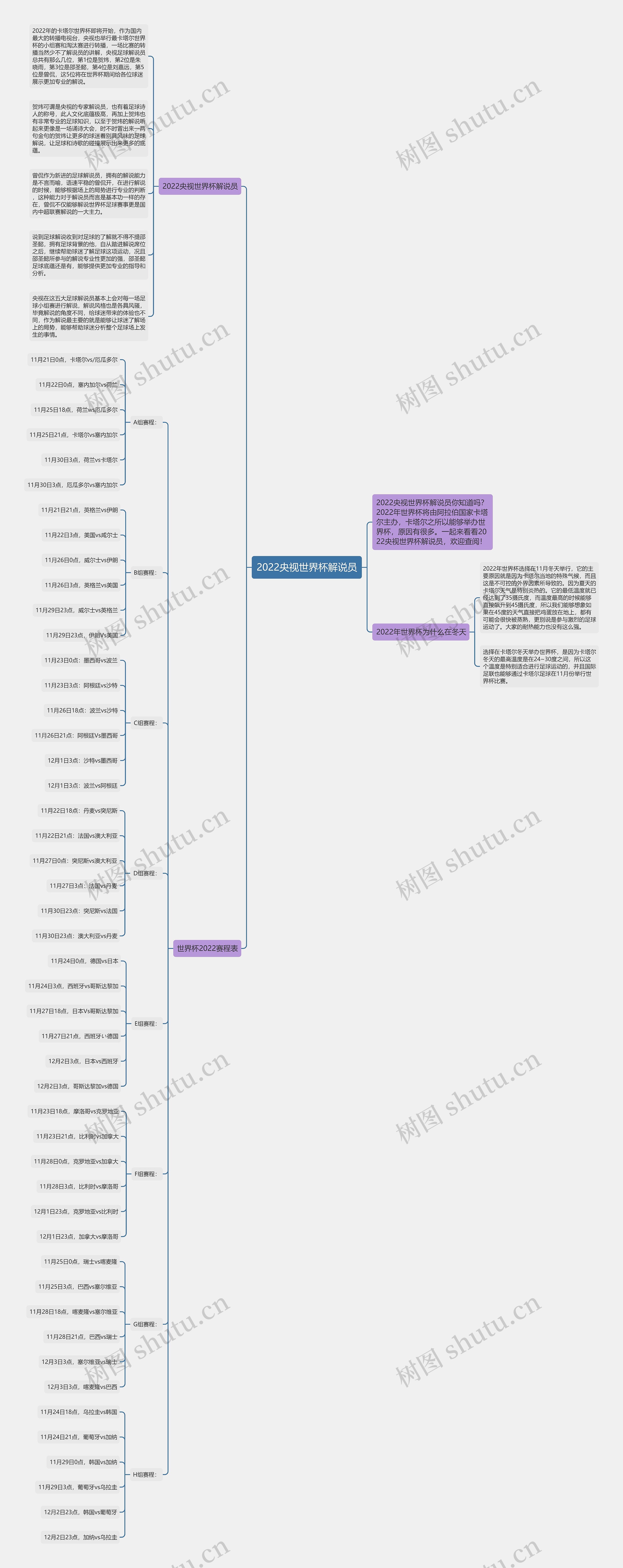 2022央视世界杯解说员思维导图