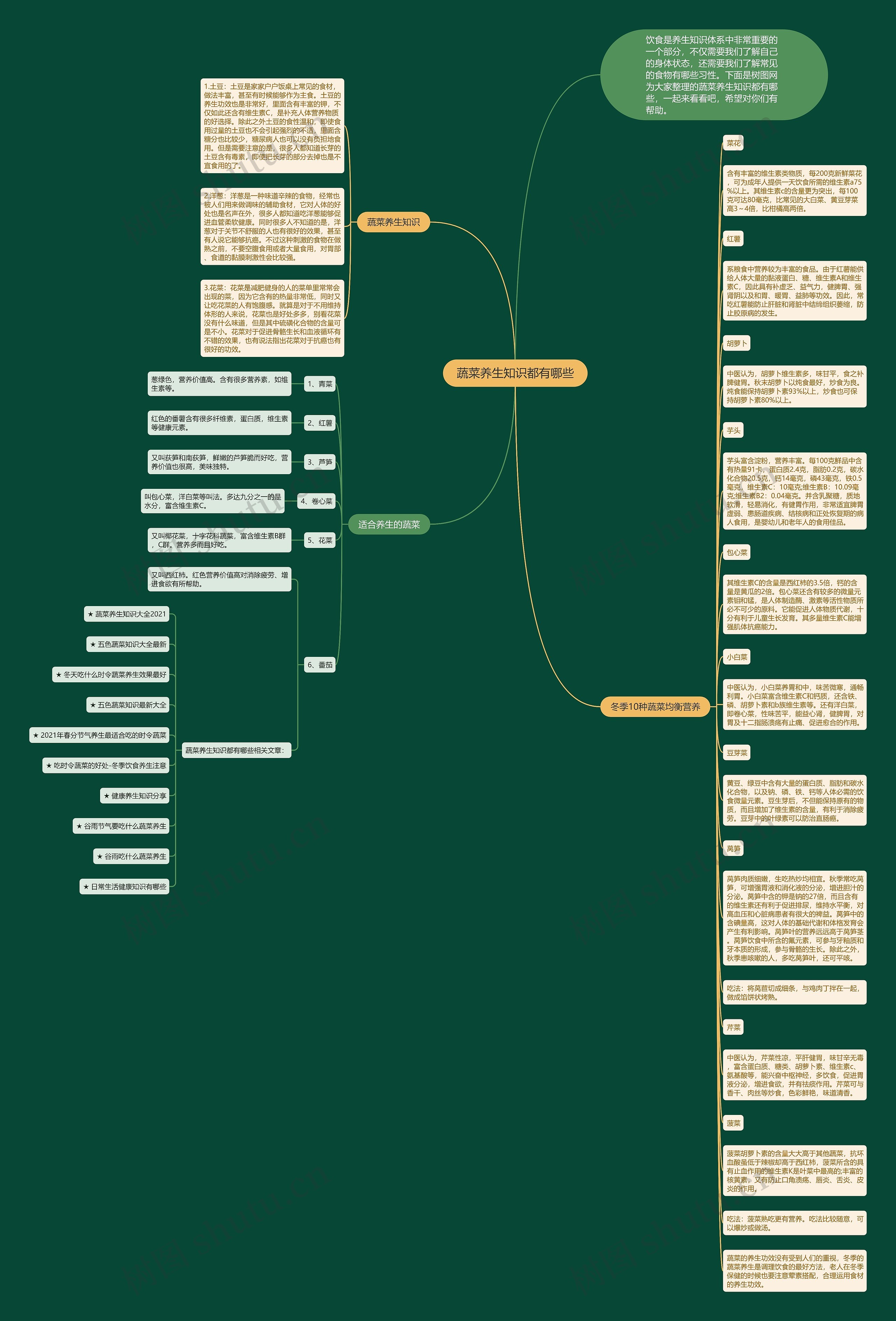 蔬菜养生知识都有哪些思维导图