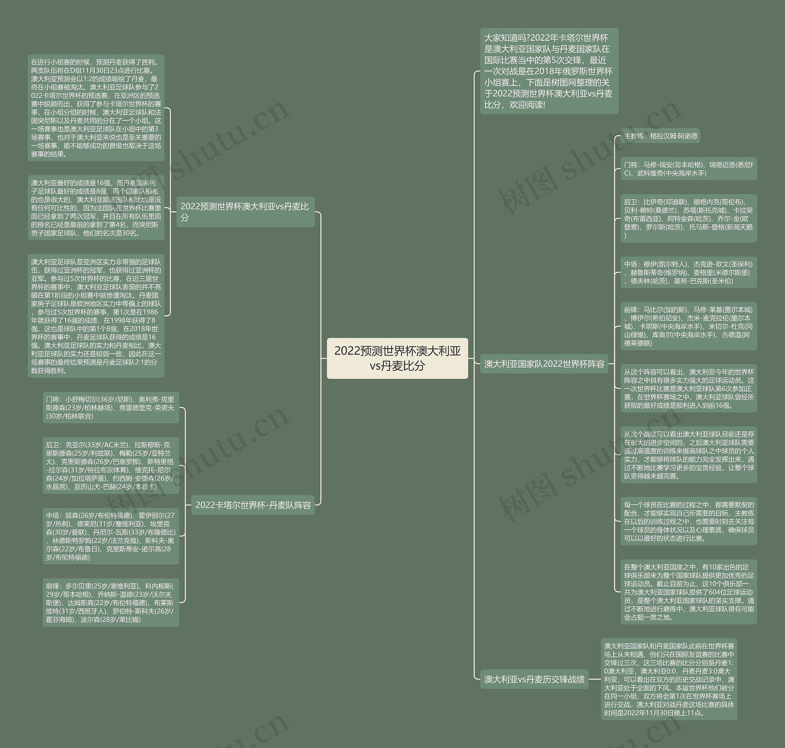 2022预测世界杯澳大利亚vs丹麦比分思维导图