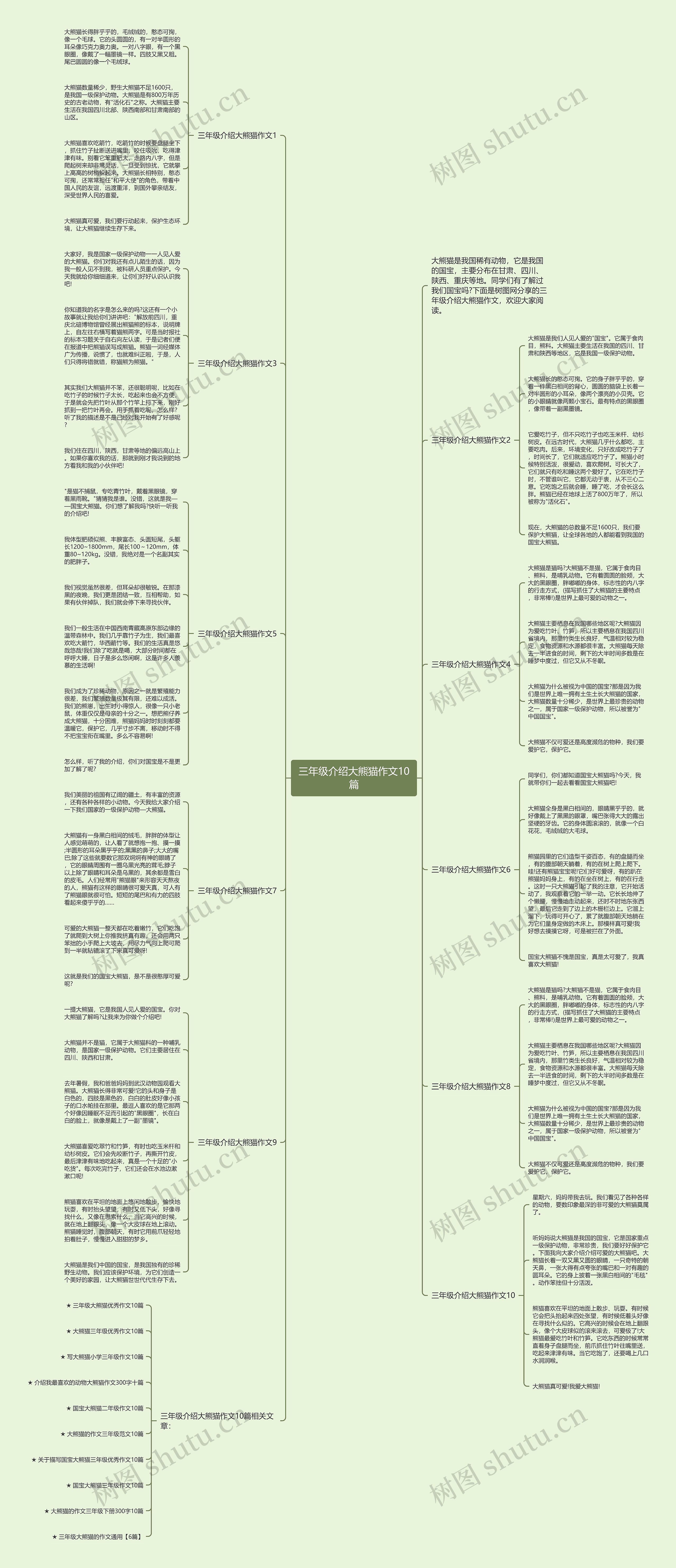 三年级介绍大熊猫作文10篇思维导图