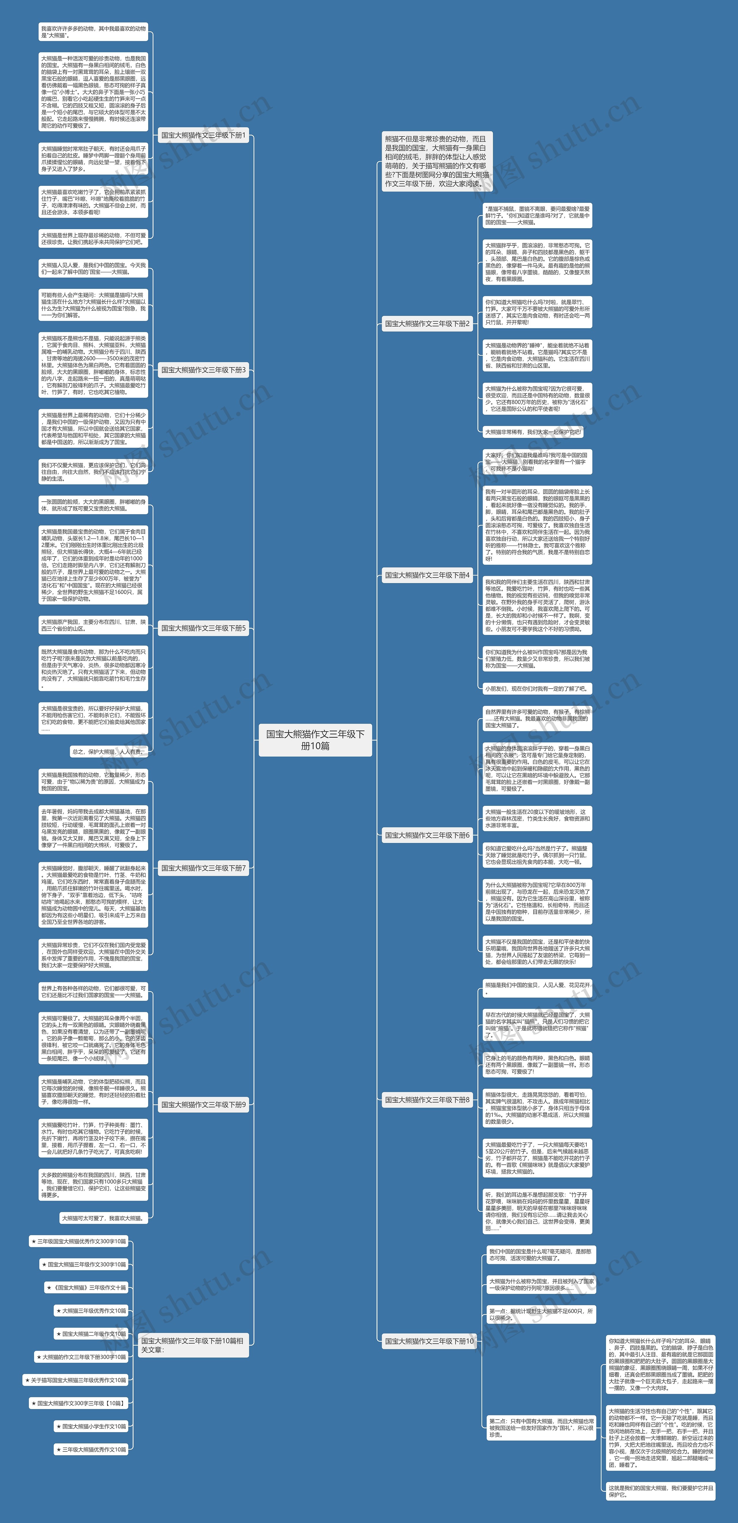 国宝大熊猫作文三年级下册10篇