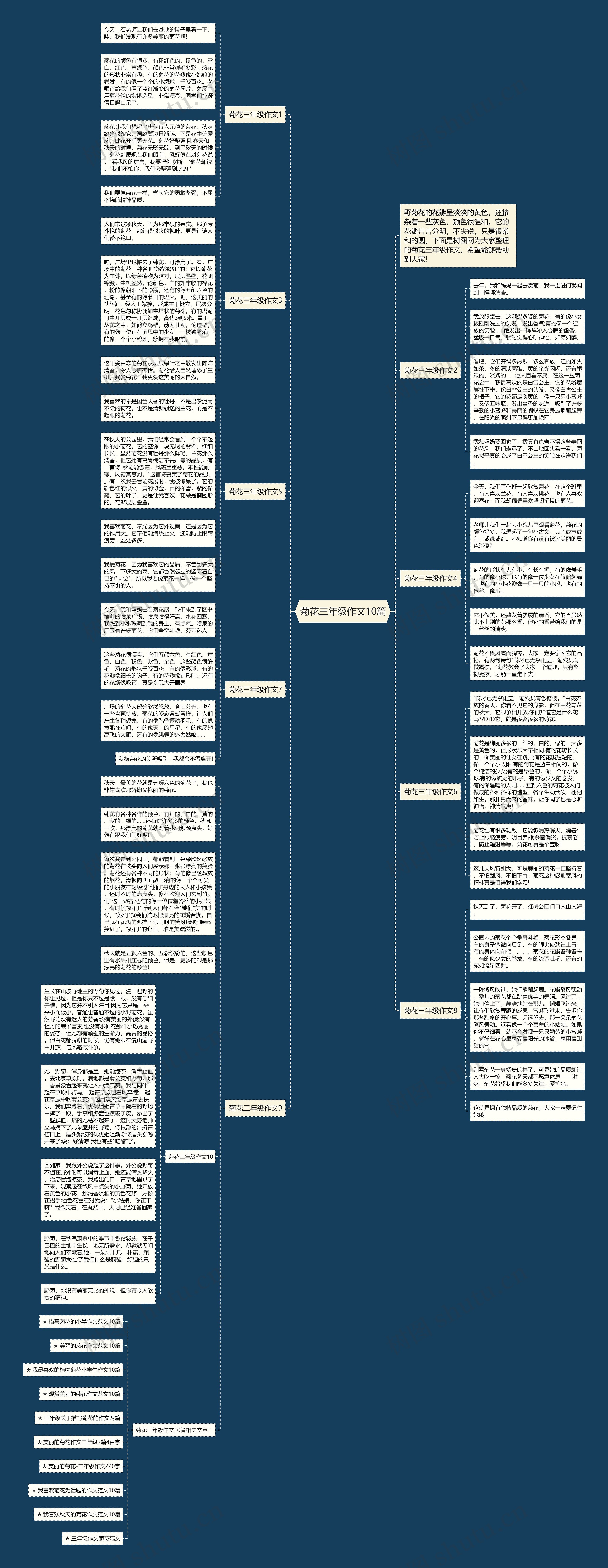 菊花三年级作文10篇思维导图