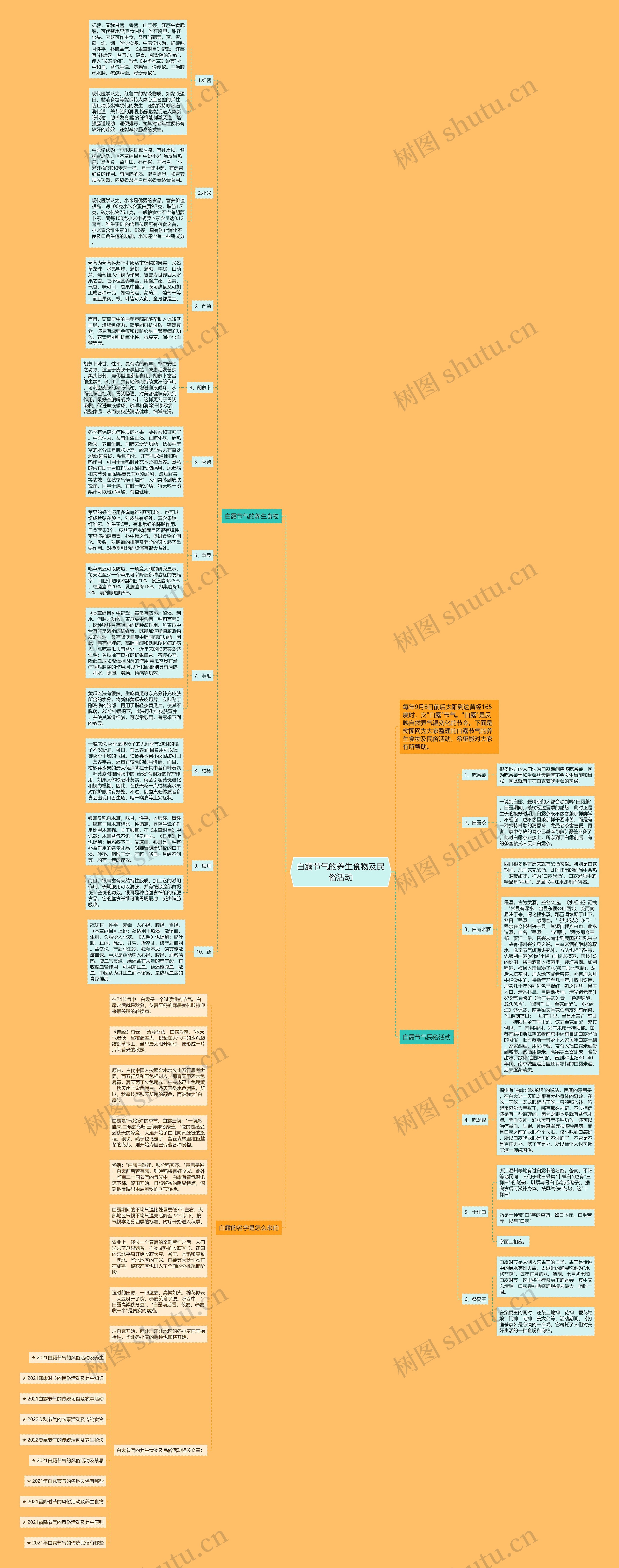 白露节气的养生食物及民俗活动思维导图