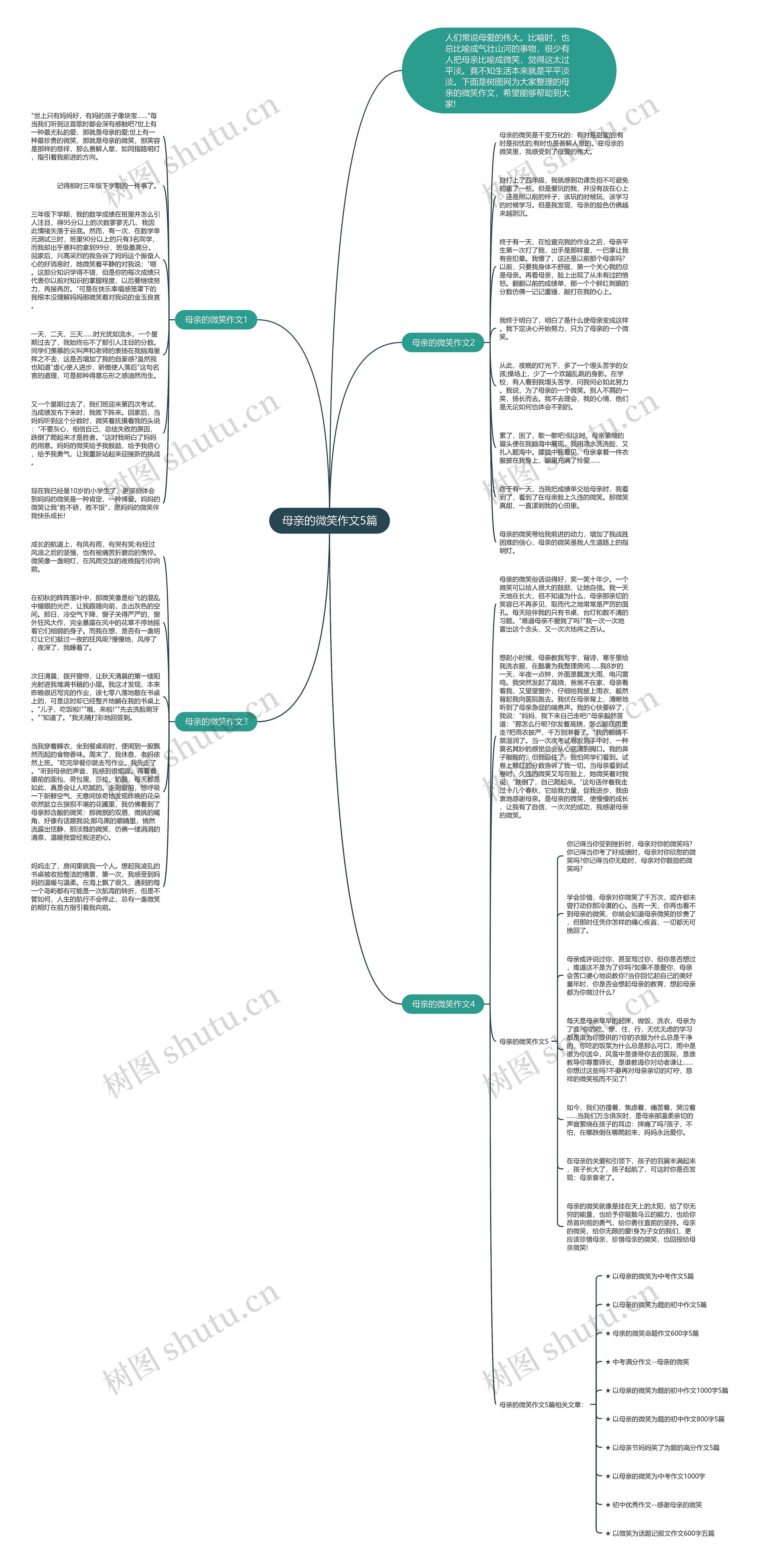 母亲的微笑作文5篇思维导图