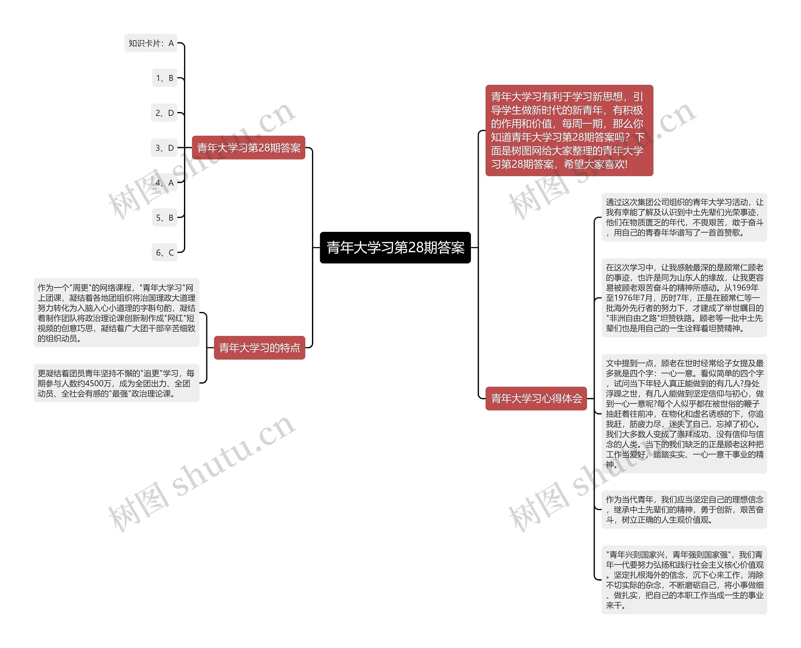 青年大学习第28期答案