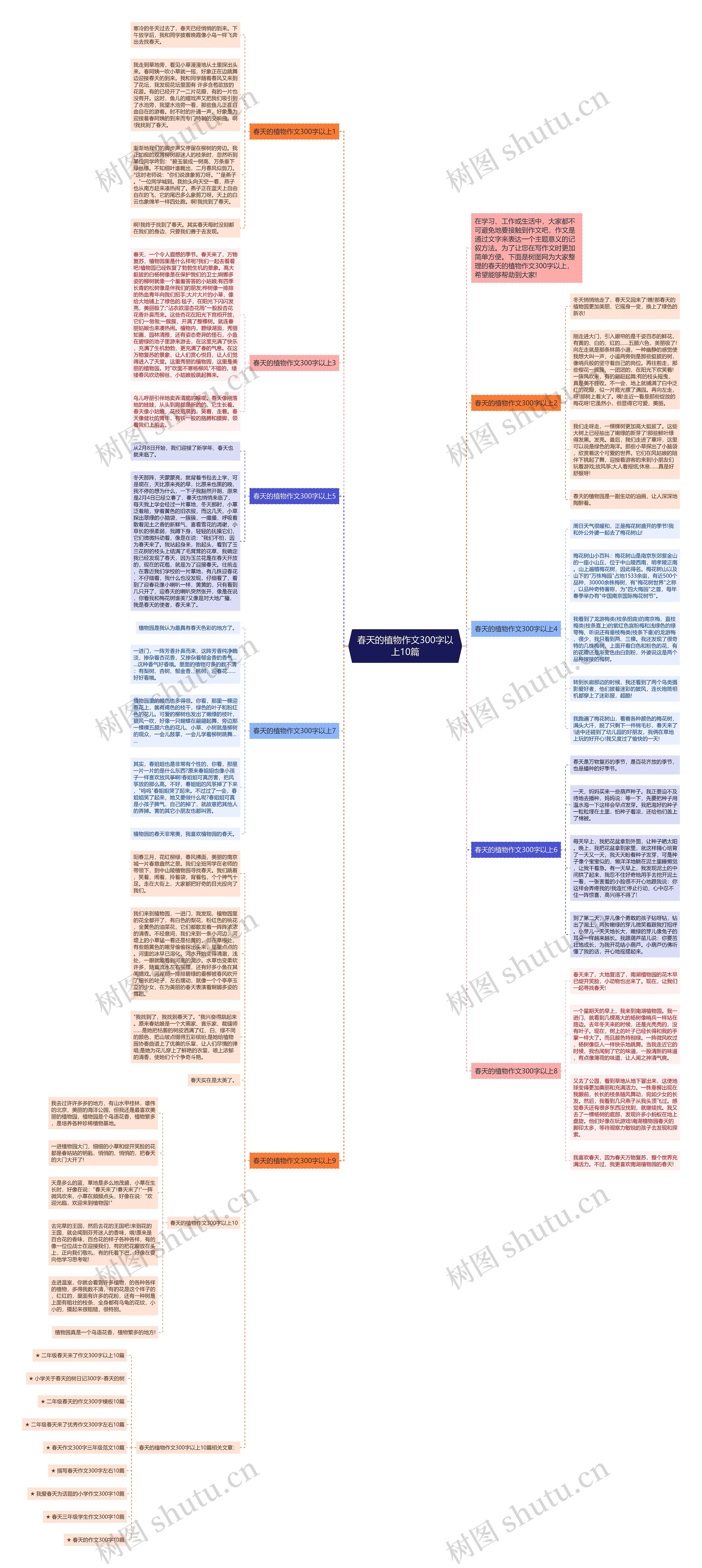 春天的植物作文300字以上10篇思维导图
