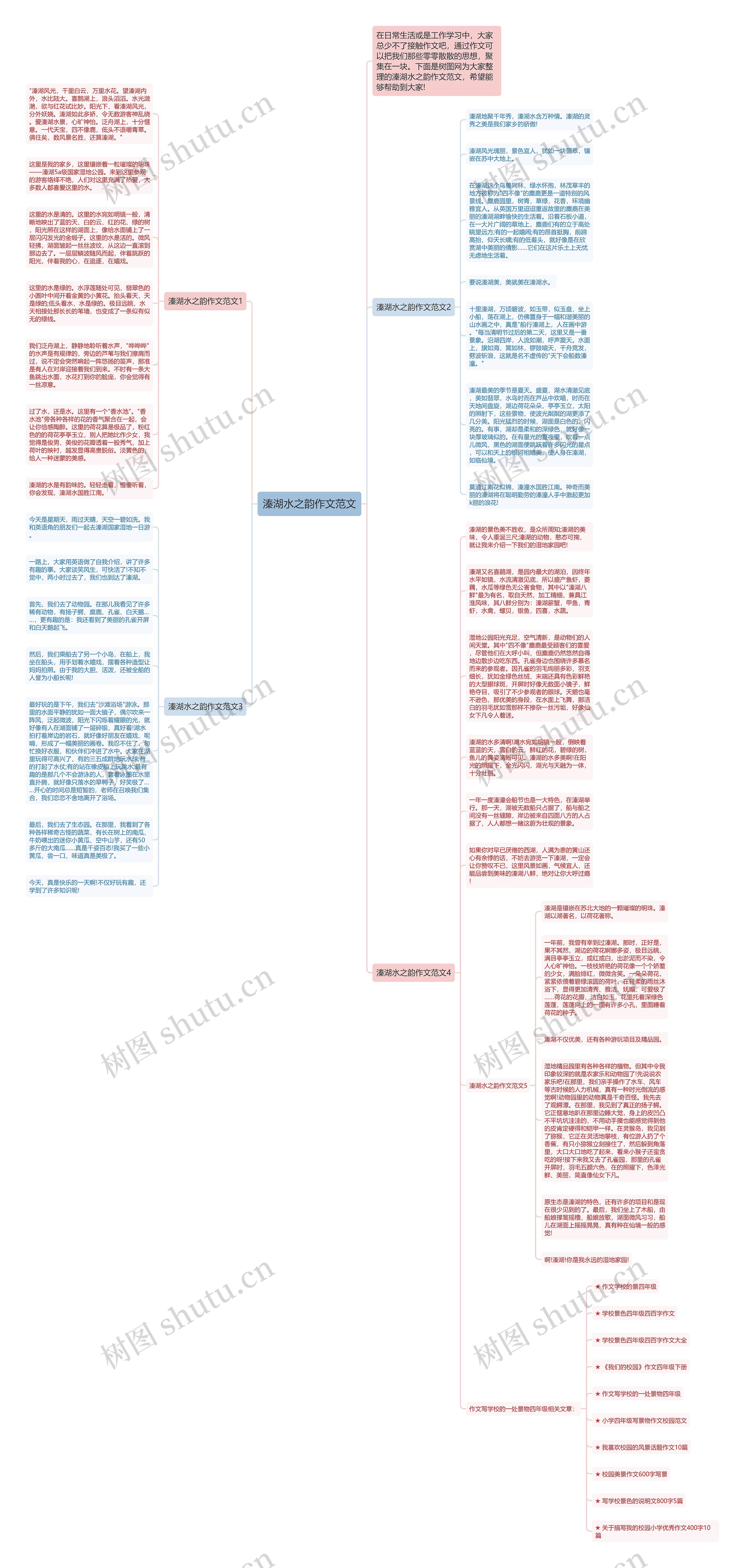 溱湖水之韵作文范文思维导图
