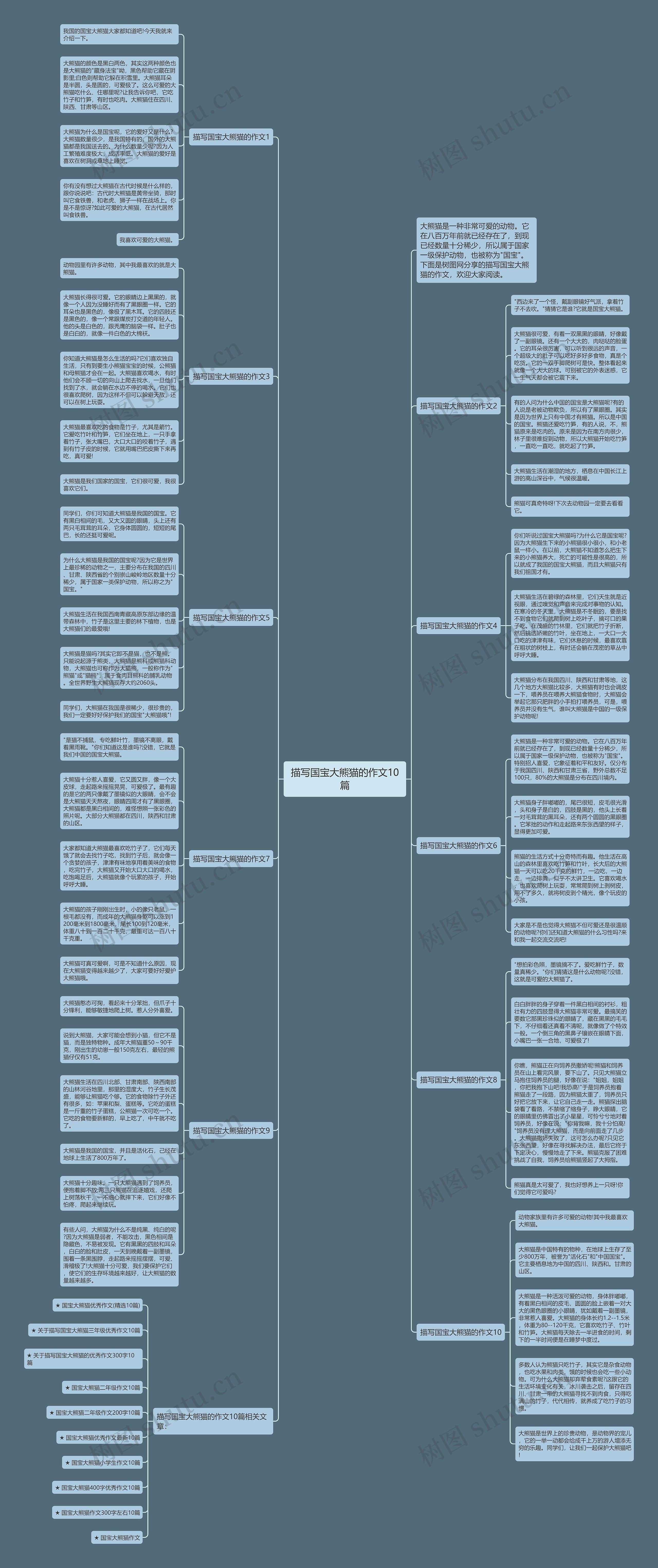 描写国宝大熊猫的作文10篇思维导图